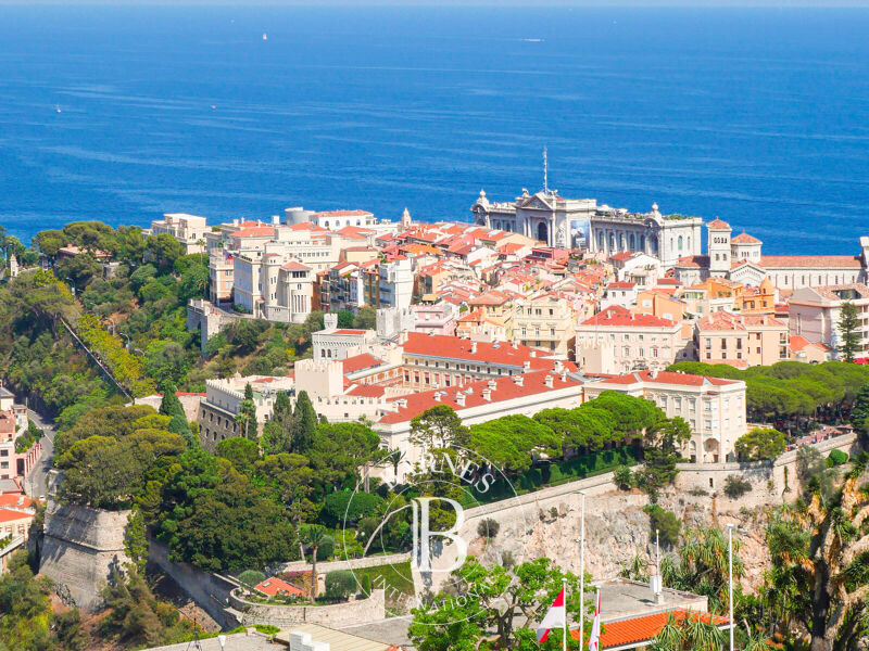 À vendre, Commerce Monaco - picture 1