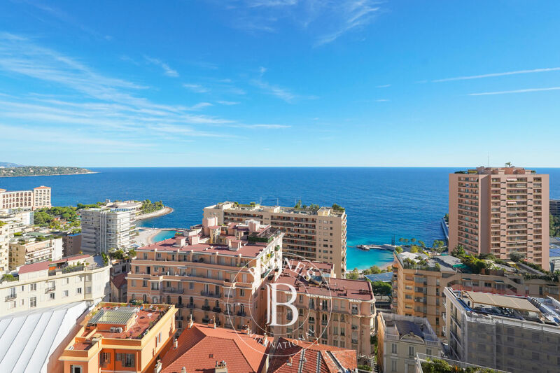 Zu vermieten Wohnung | Monaco - picture 1