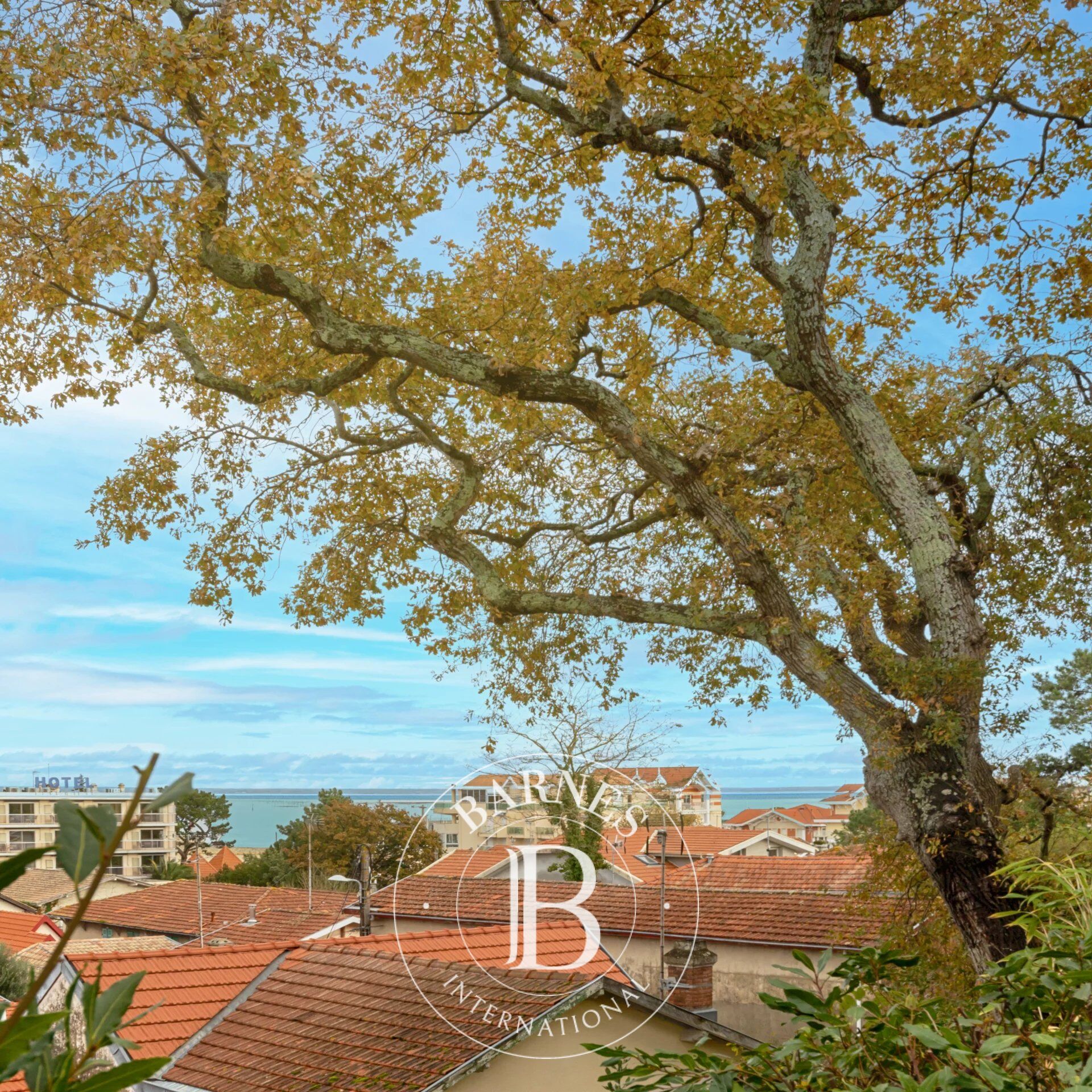 Wohnung Arcachon - picture 2