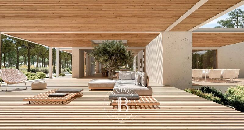 For Sale Plot of land | Grândola e Santa... - picture 2