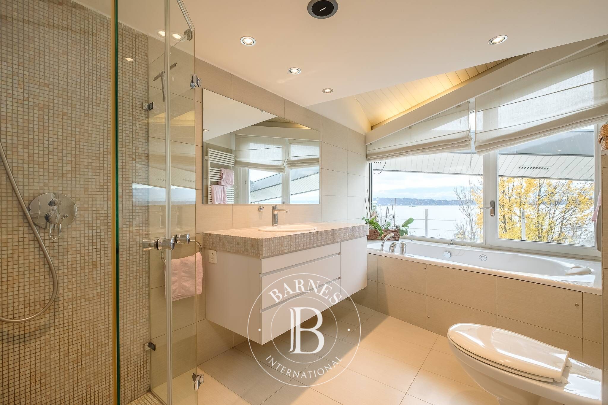 Villa Cologny - picture 14