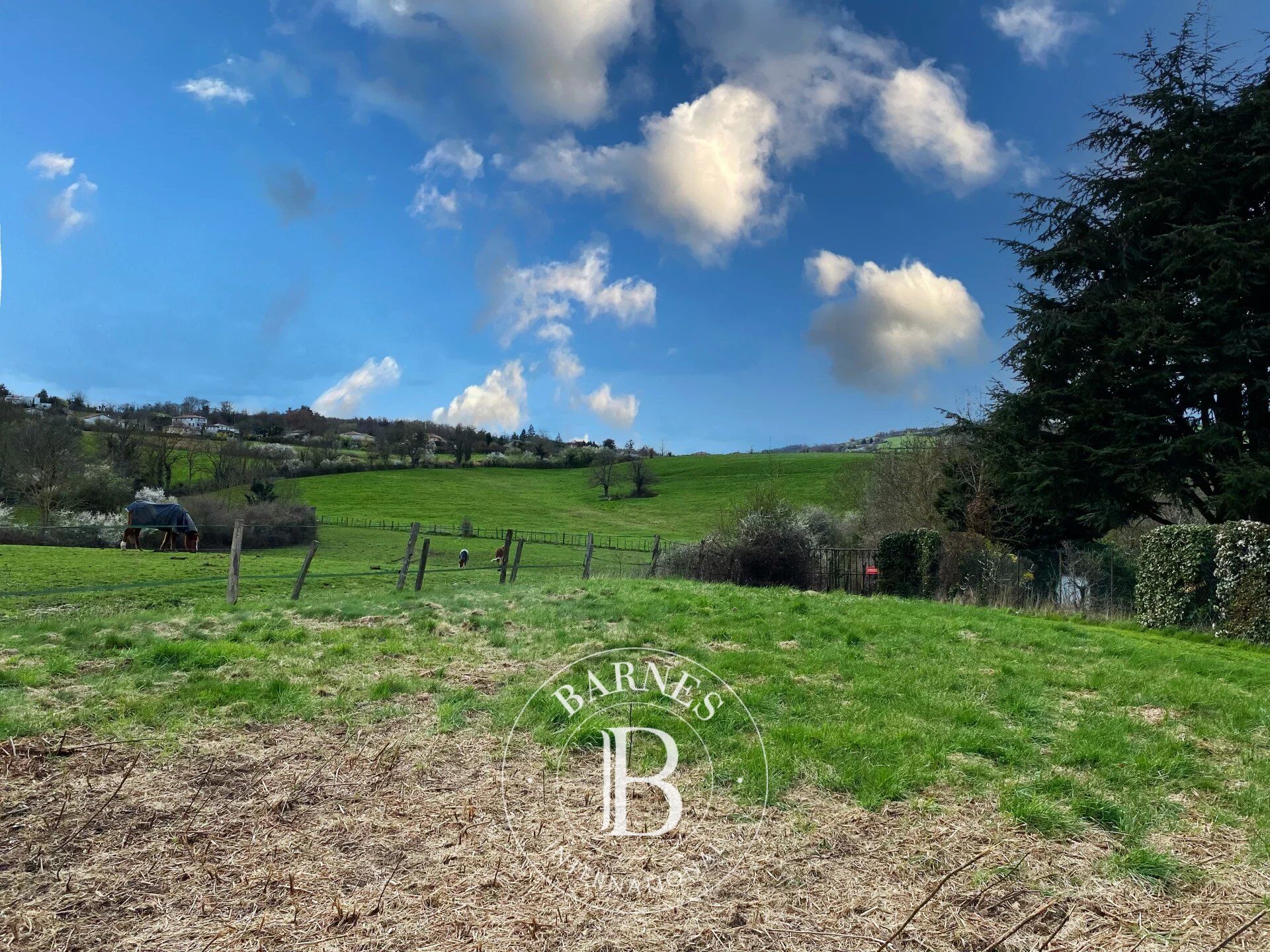 Terreno Lentilly - picture 1