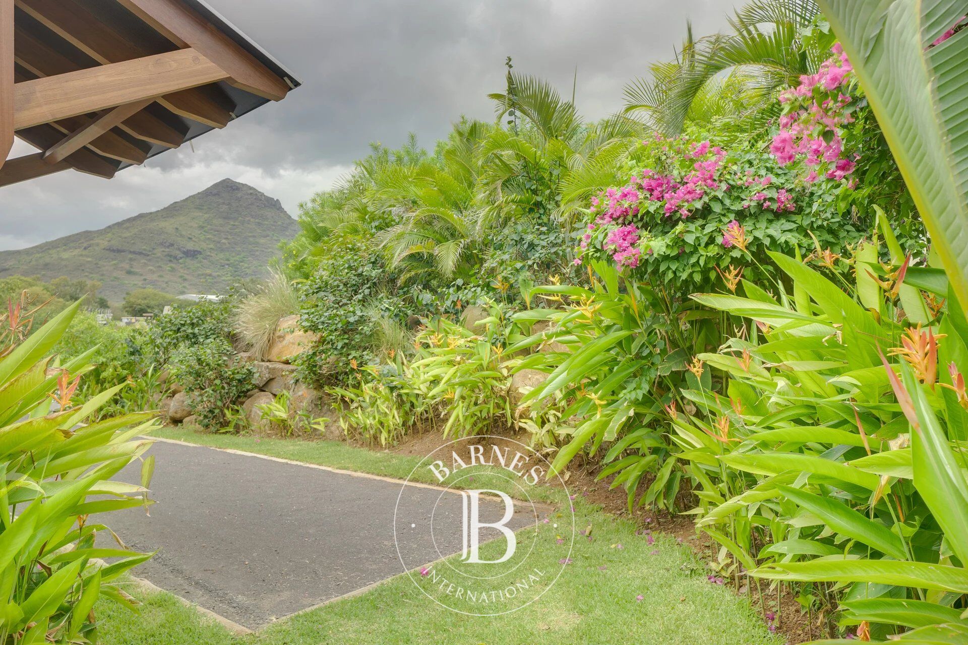 Ev Tamarin - picture 17