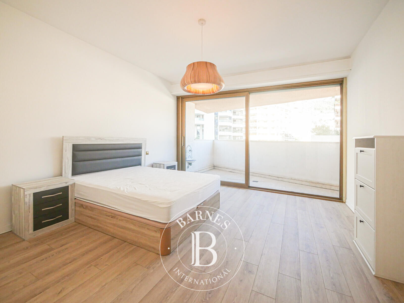 Daire Monaco - picture 4