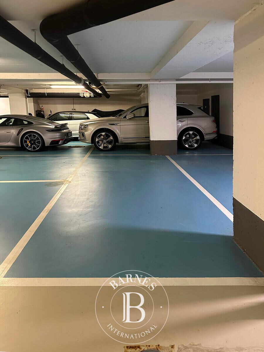 Daire Monaco - picture 12