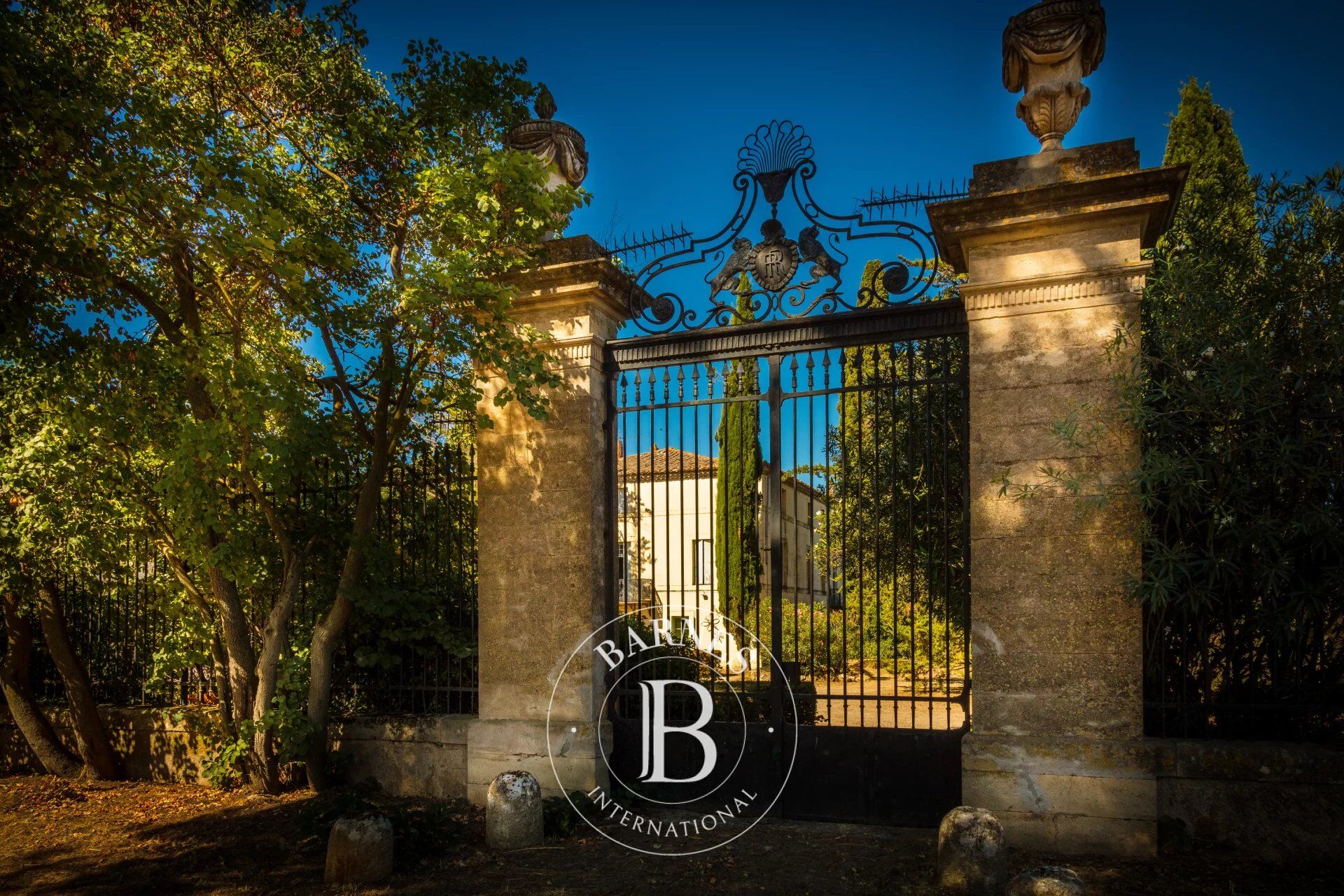 Viñedo Lézignan-Corbières - picture 2