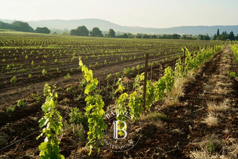 Venta, Viñedo Lézignan-Corbières - picture 1