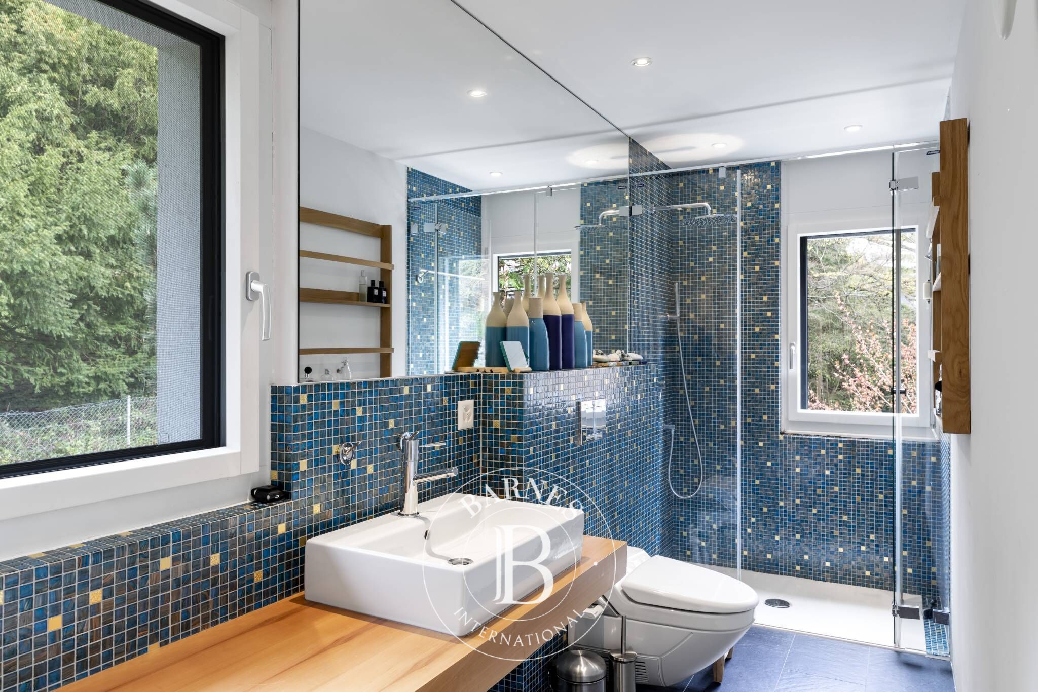 Villa Blonay - picture 9