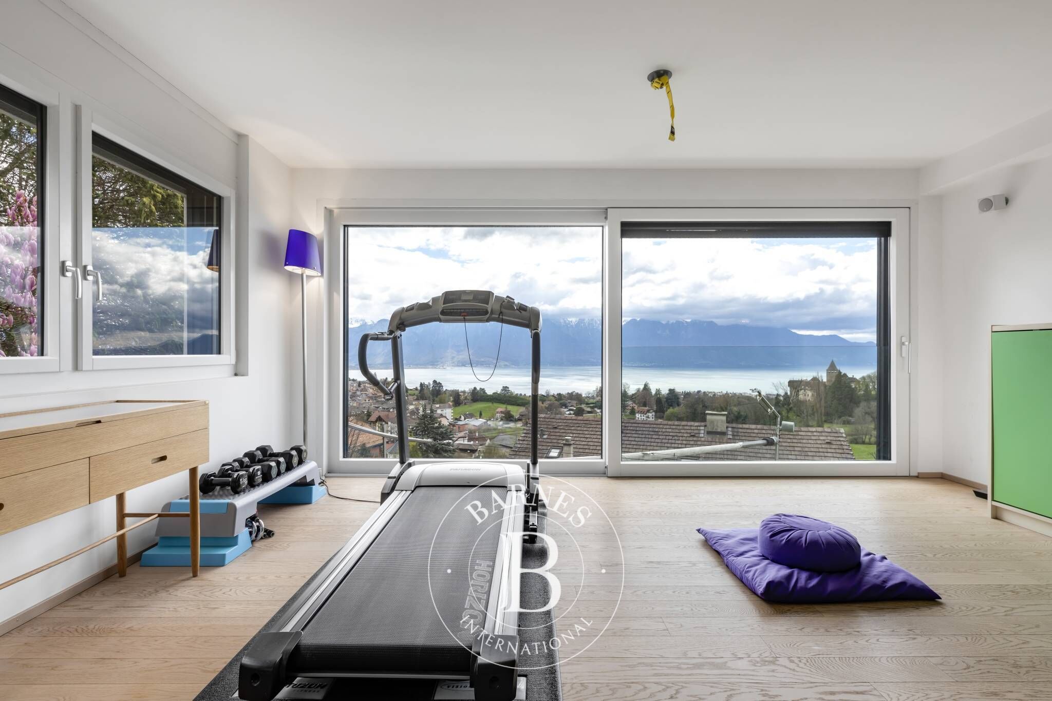 Villa Blonay - picture 13