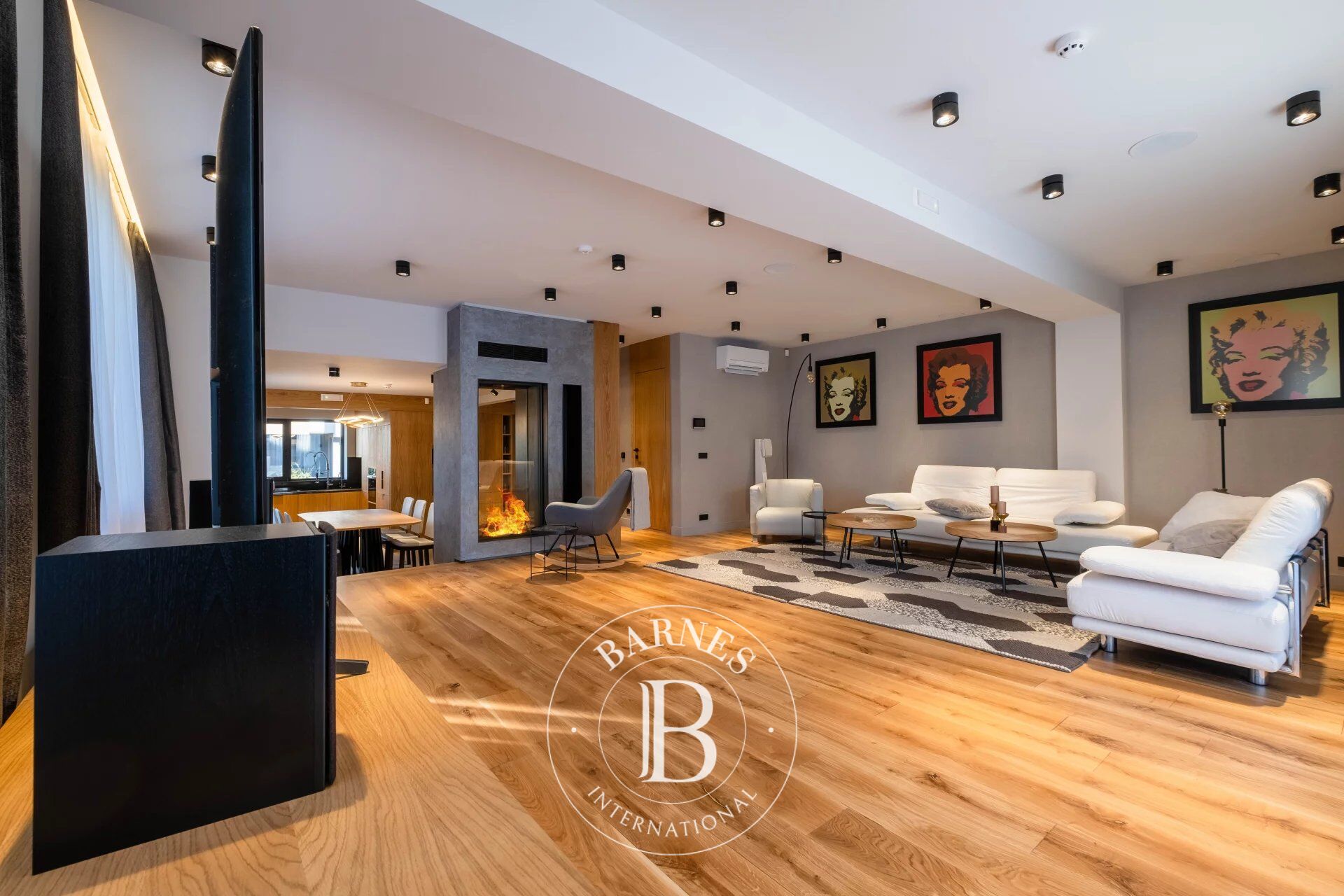 Ev Sofia - picture 21