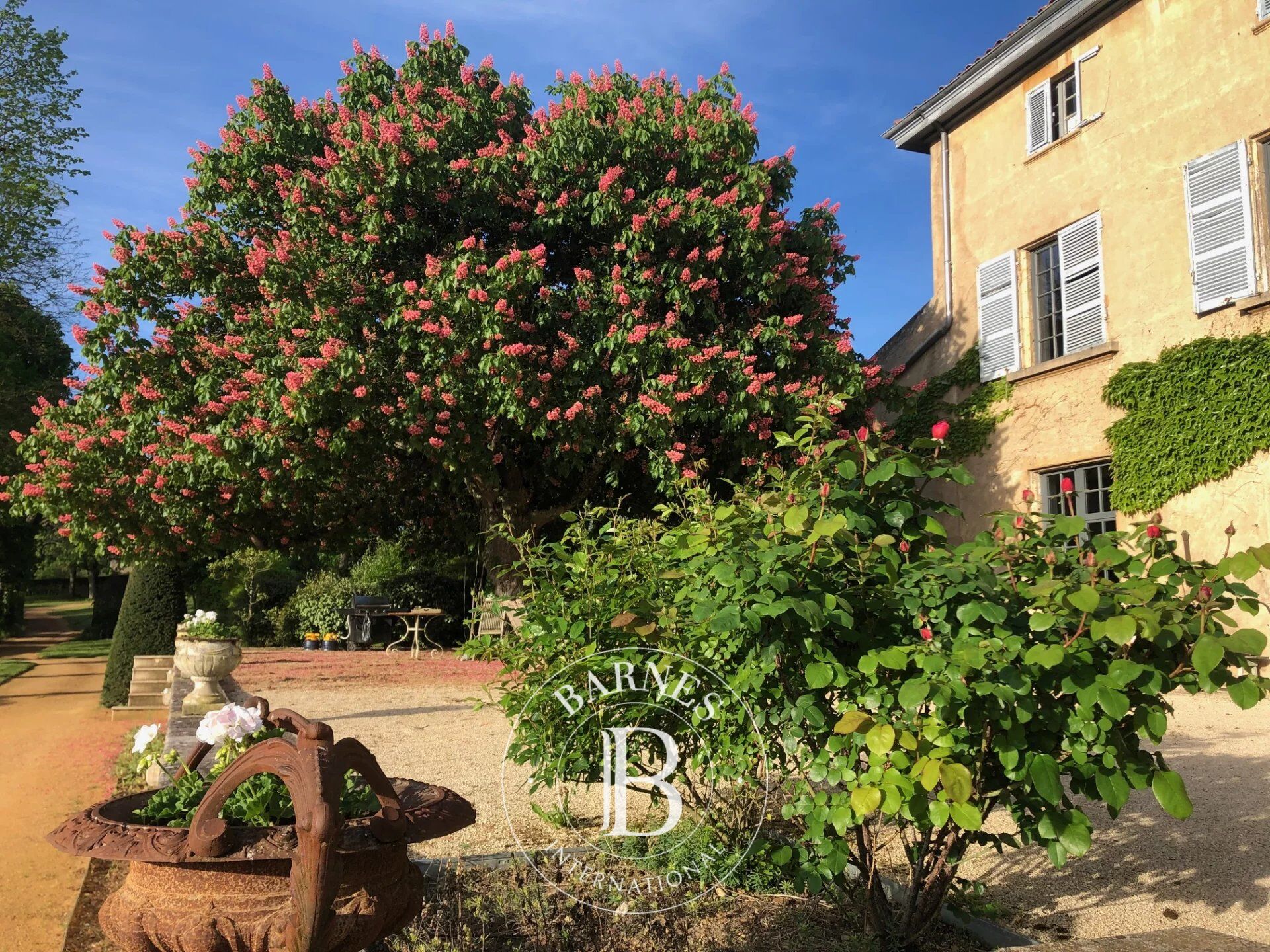 Exclusivity - Marcilly d'Azergues - XVIth century Chateau - 15 Rooms - 611 sqm - 6750 sqm Park - picture 3