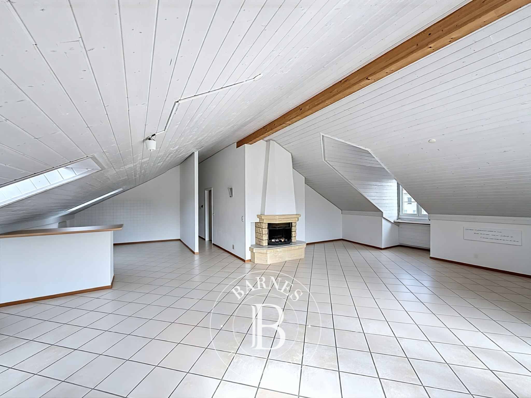 Penthouse Bussy-Chardonney - picture 3