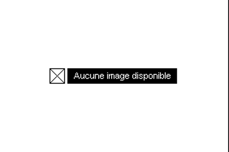 For Sale, Villa Crans-Montana - picture 1