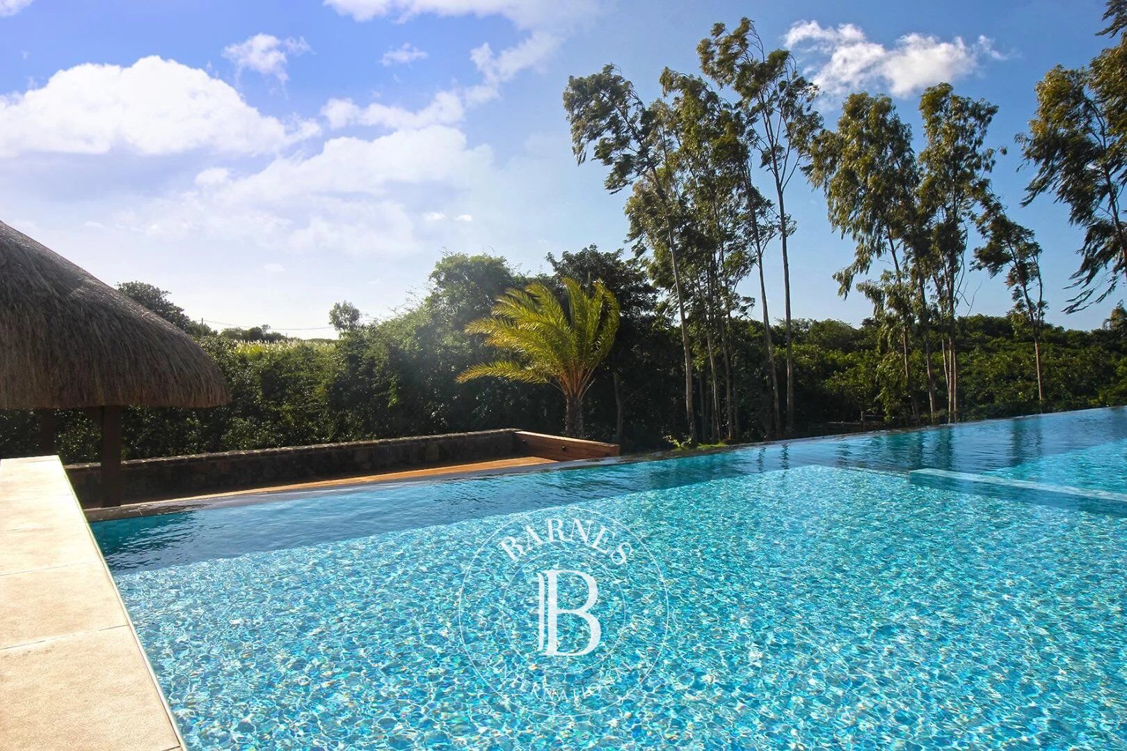 Villa Haute Rive - picture 8