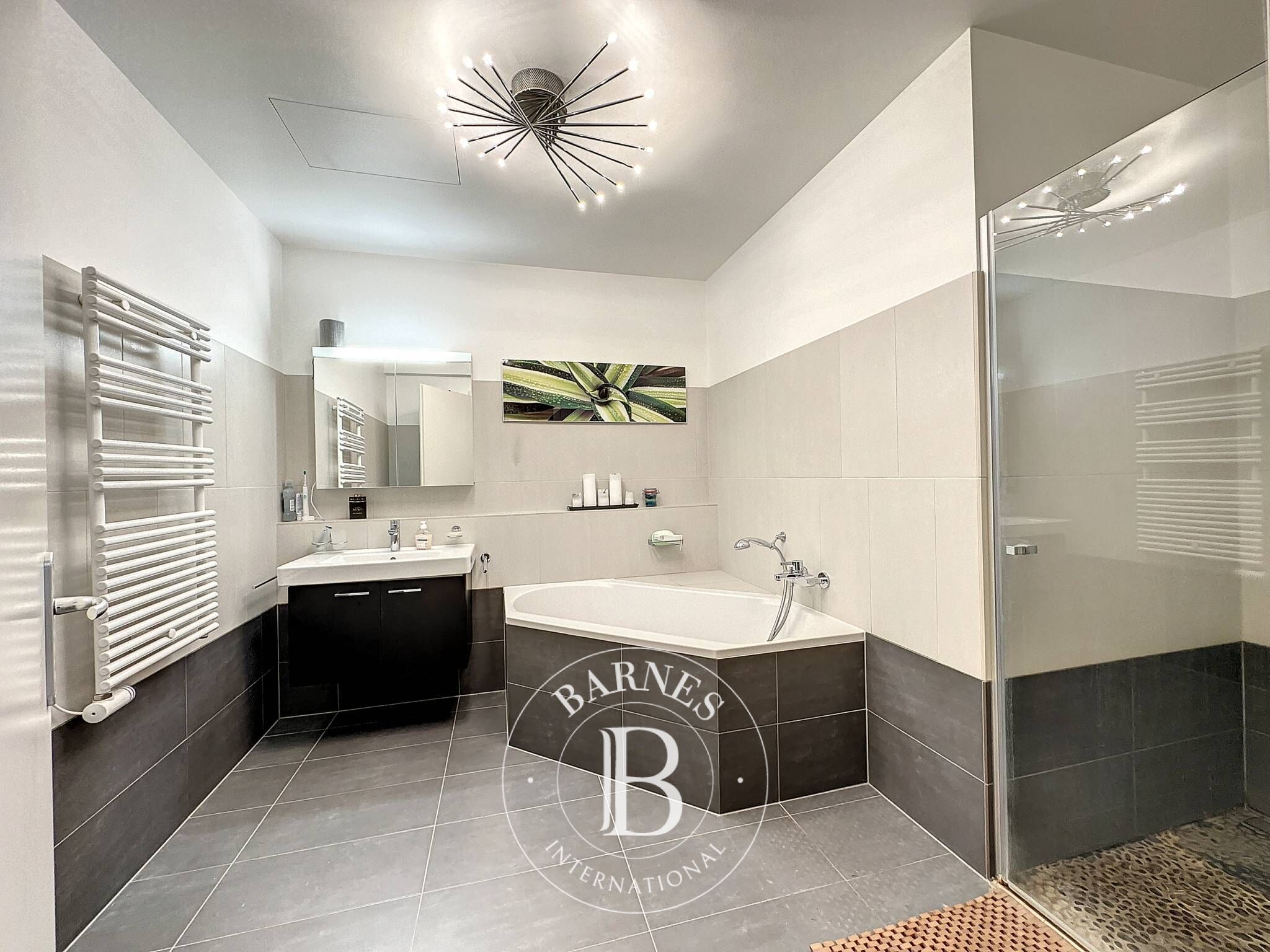 Penthouse Montreux - picture 5