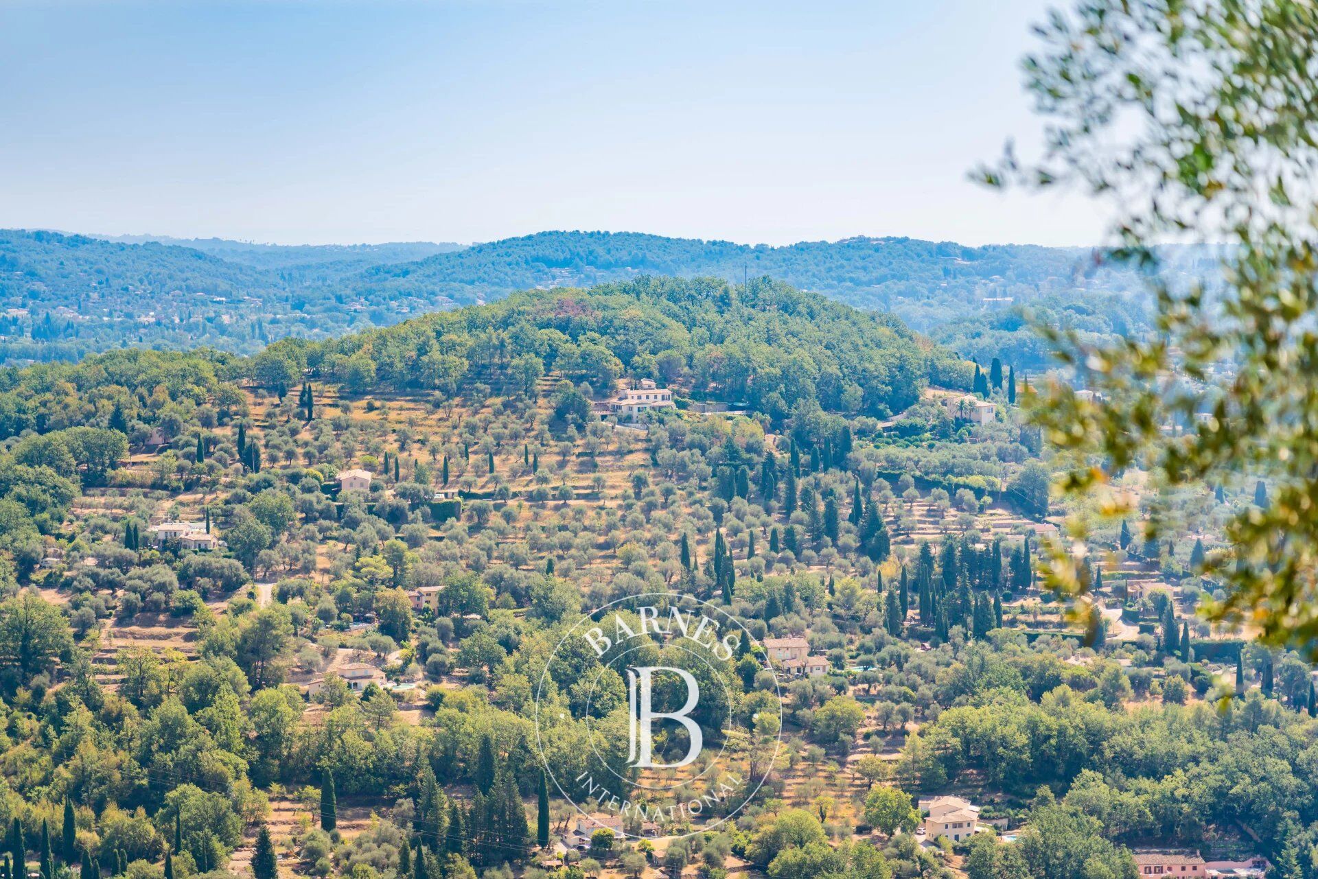 Ev Grasse - picture 10