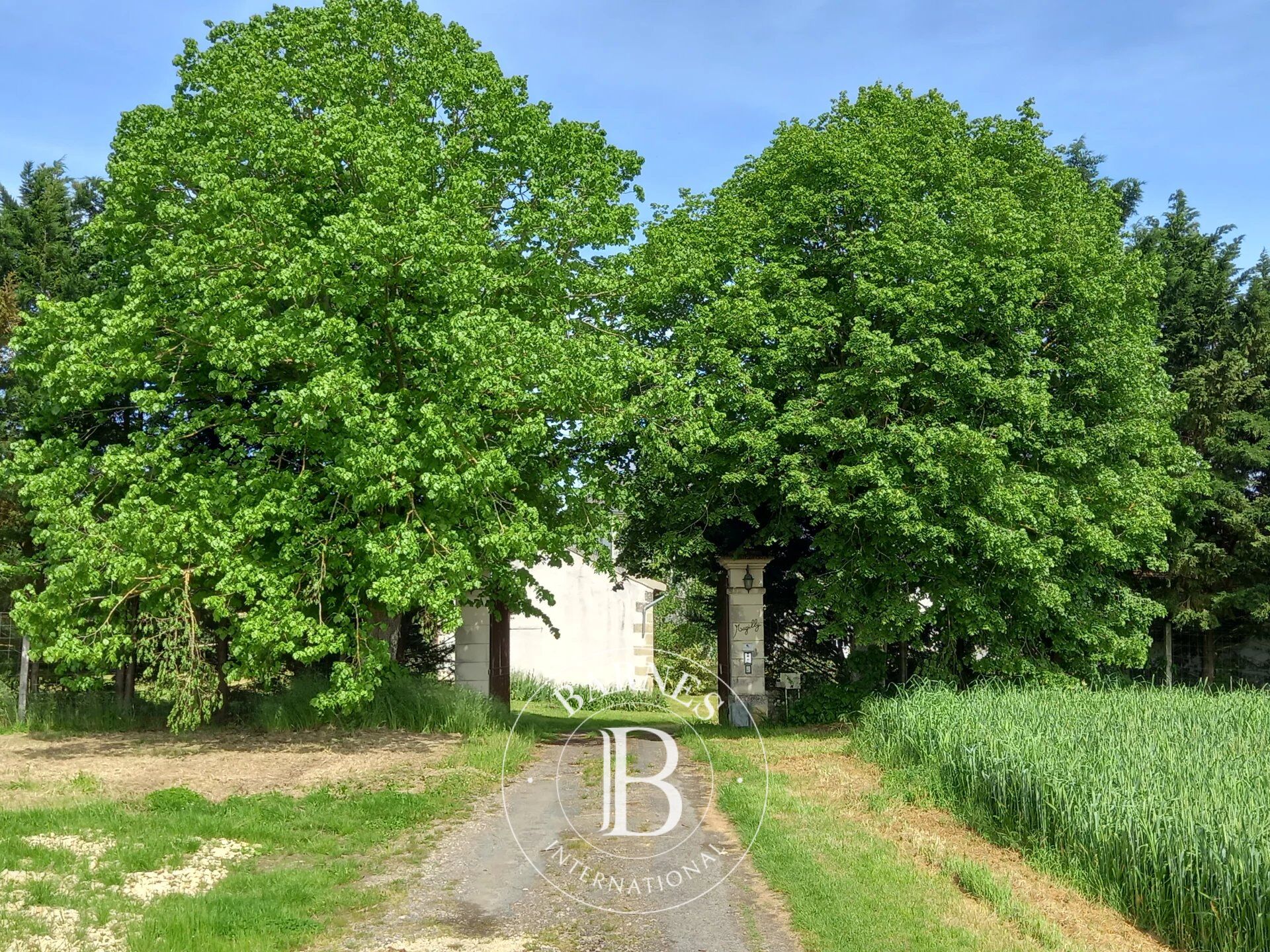 Exclusivité - Vienne - Propriété avec étang et piscine - Terrain de 6.5 hectares - picture 2