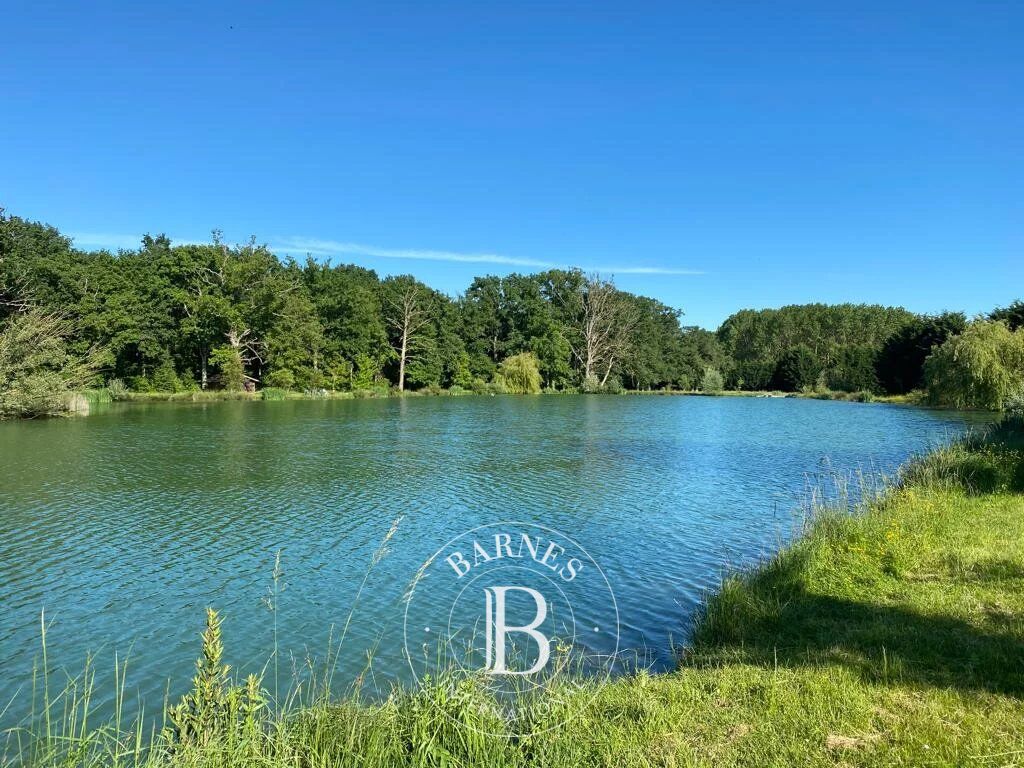 Exclusivité - Vienne - Propriété avec étang et piscine - Terrain de 6.5 hectares - picture 3