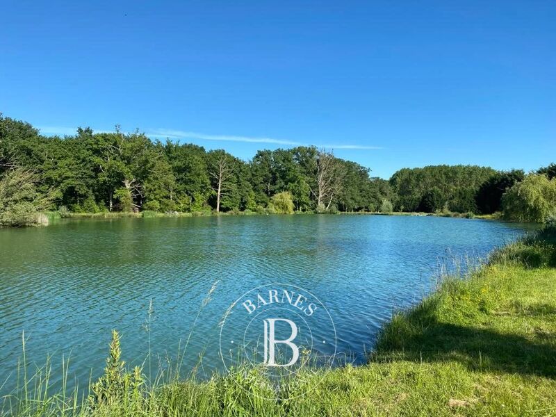 À vendre Propriété | Doussay - picture 3