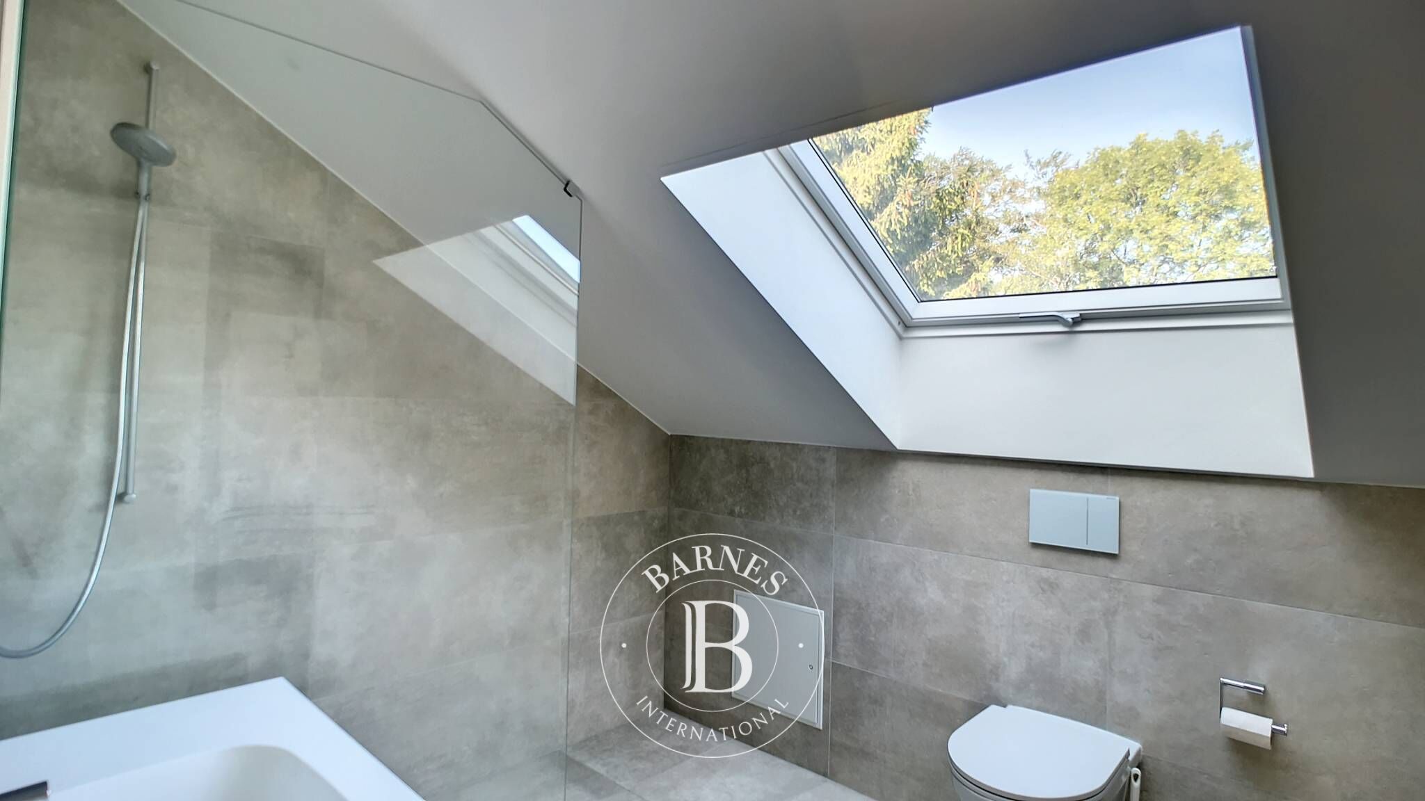 Cati kati Le Mont-Pèlerin - picture 18