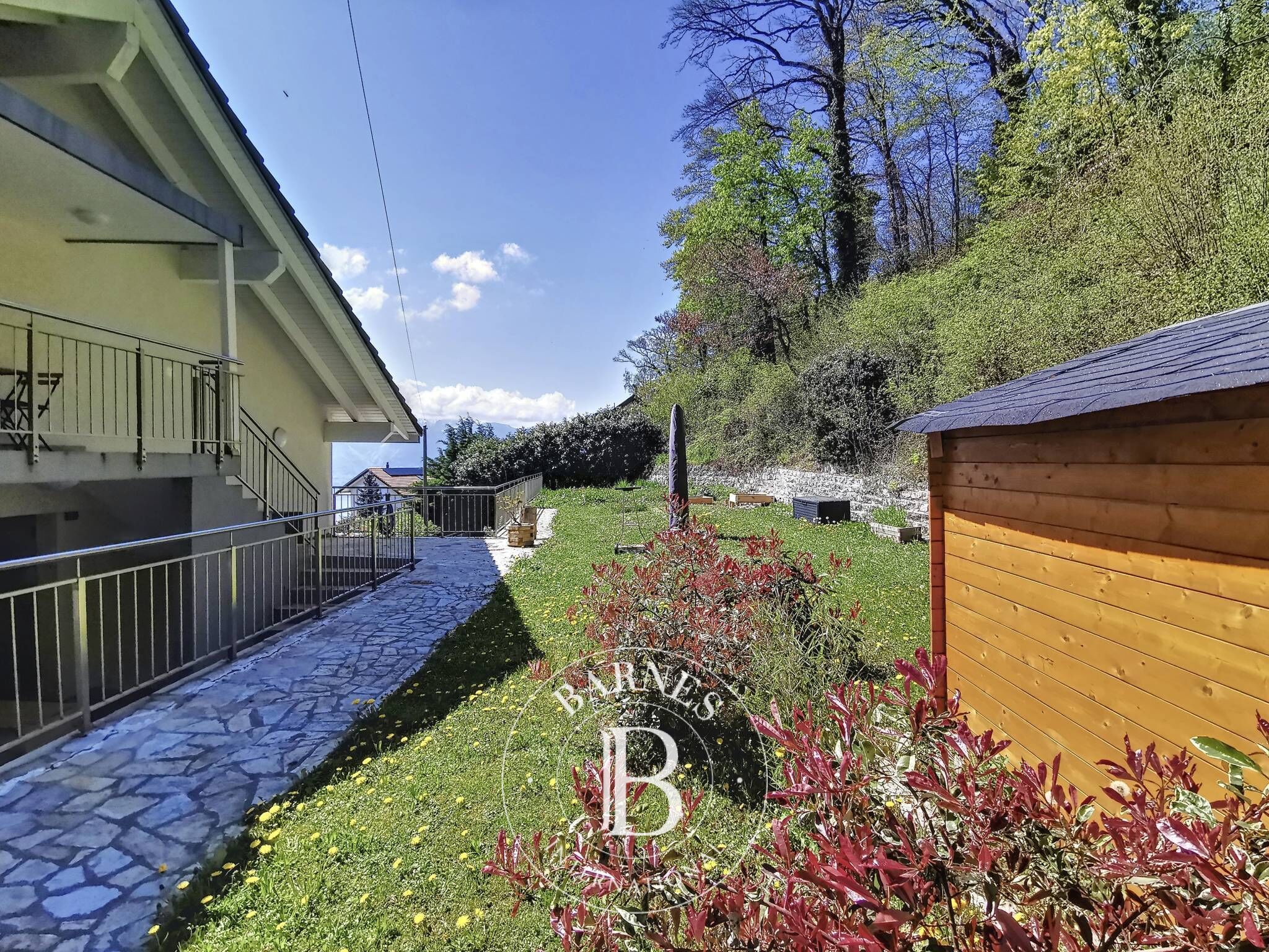 Cati kati Le Mont-Pèlerin - picture 16