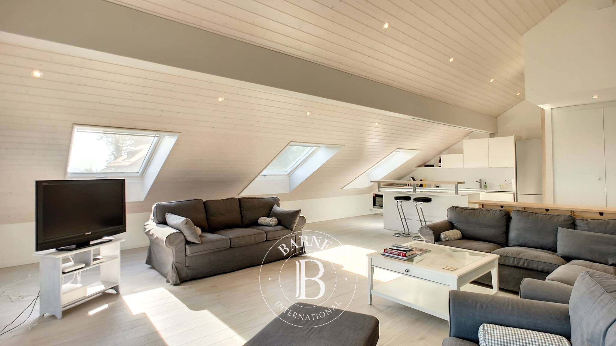 Cati kati Le Mont-Pèlerin - picture 5