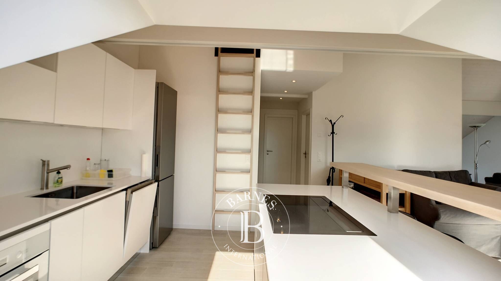 Cati kati Le Mont-Pèlerin - picture 8