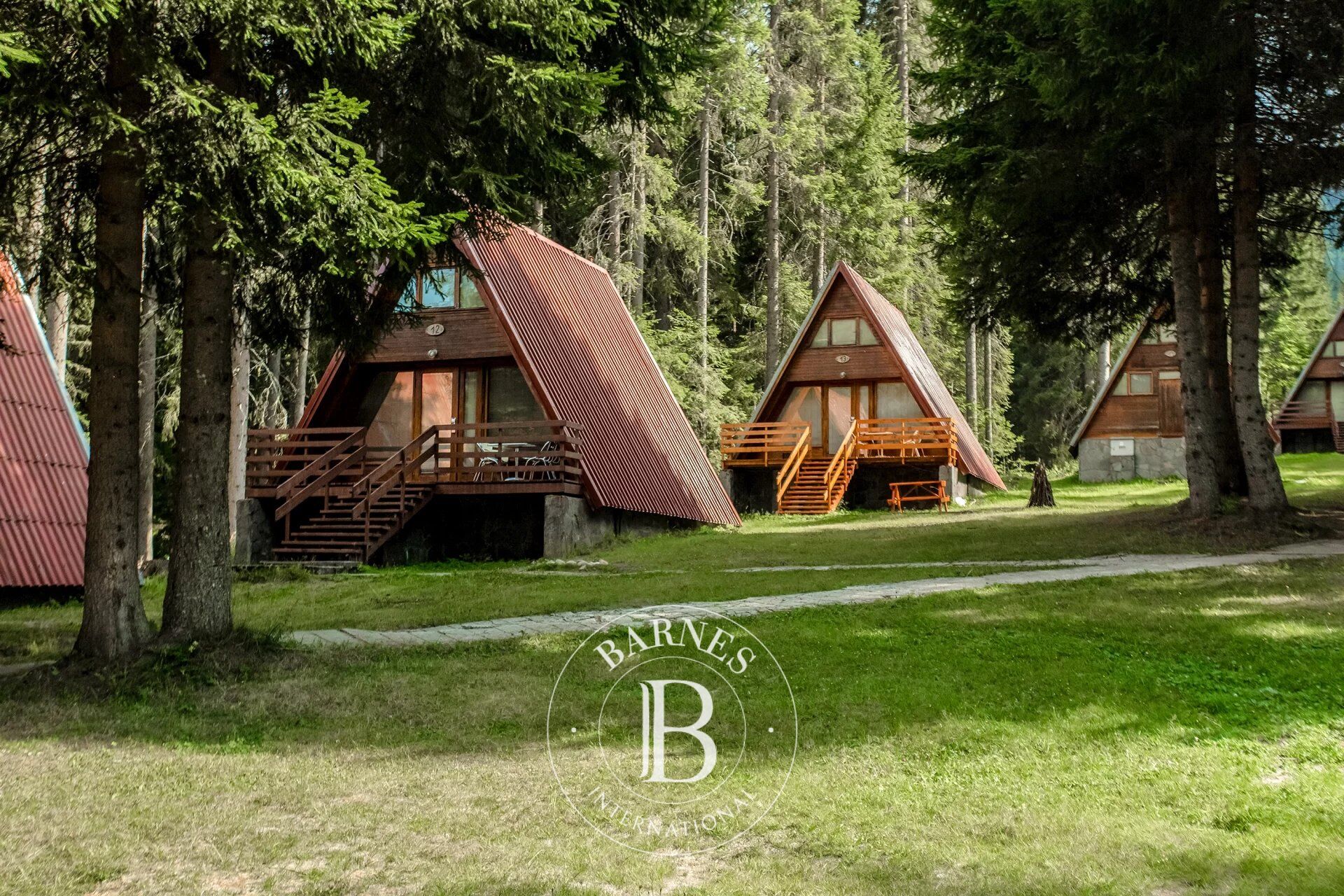 Comercio Pamporovo - picture 3