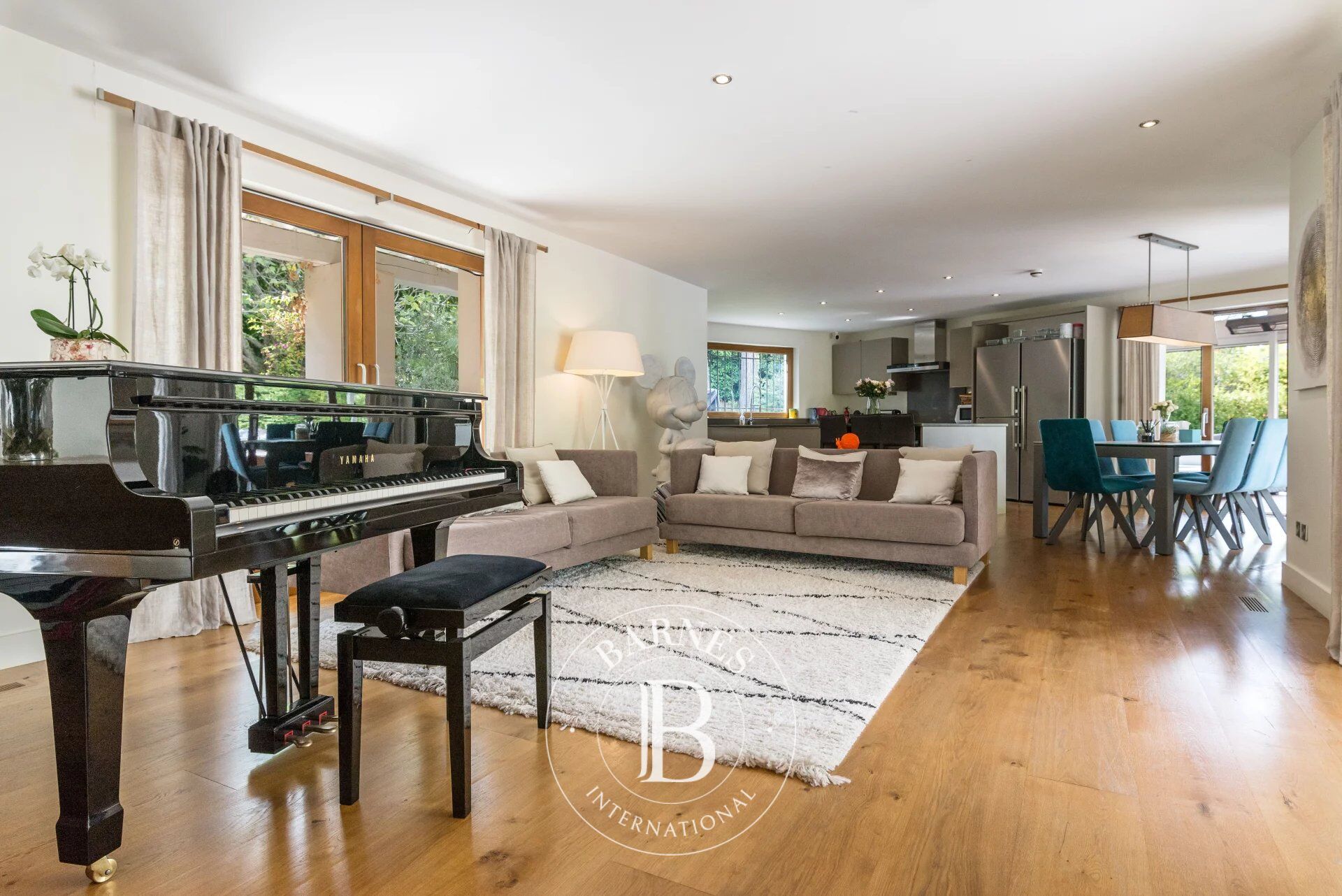 Villa Mougins - picture 7