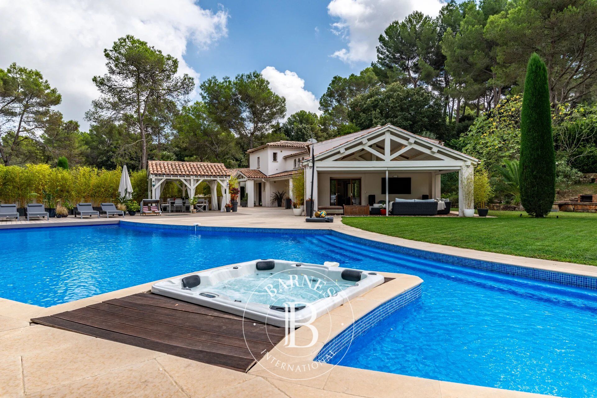 Villa Mougins - picture 5