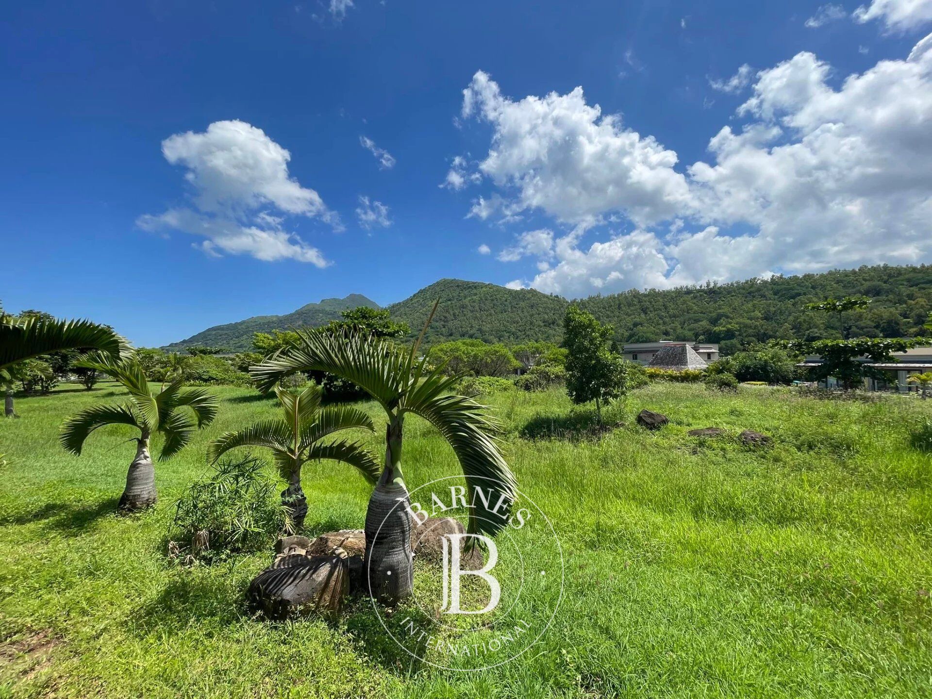 Villa Rivière Noire - picture 14