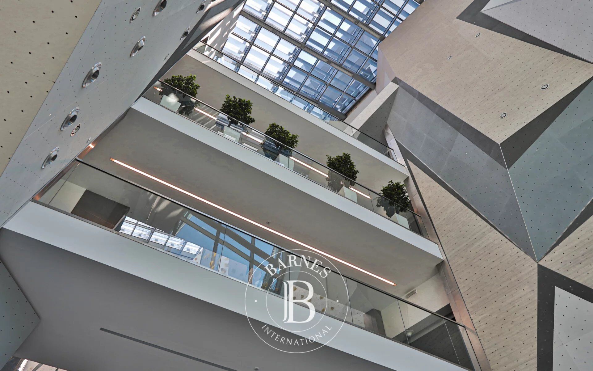 Oficina Sofia - picture 1