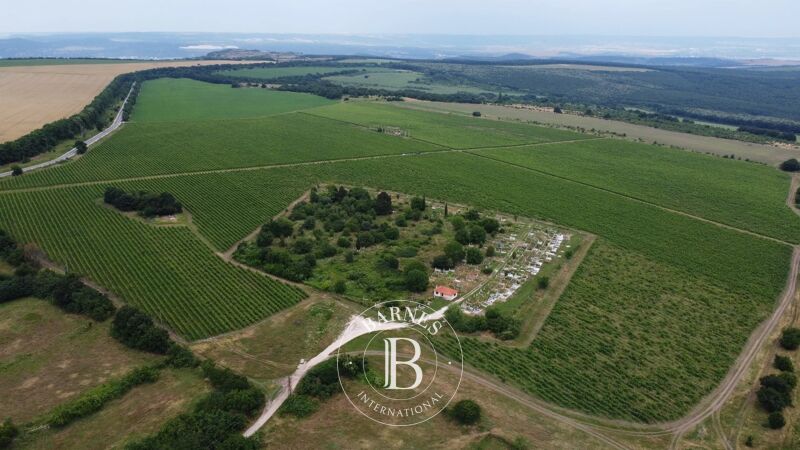 À vendre, Exploitation agricole Varna - picture 3