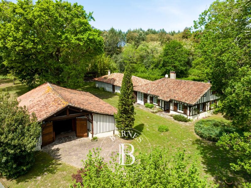 Venta, Finca Soustons - picture 2