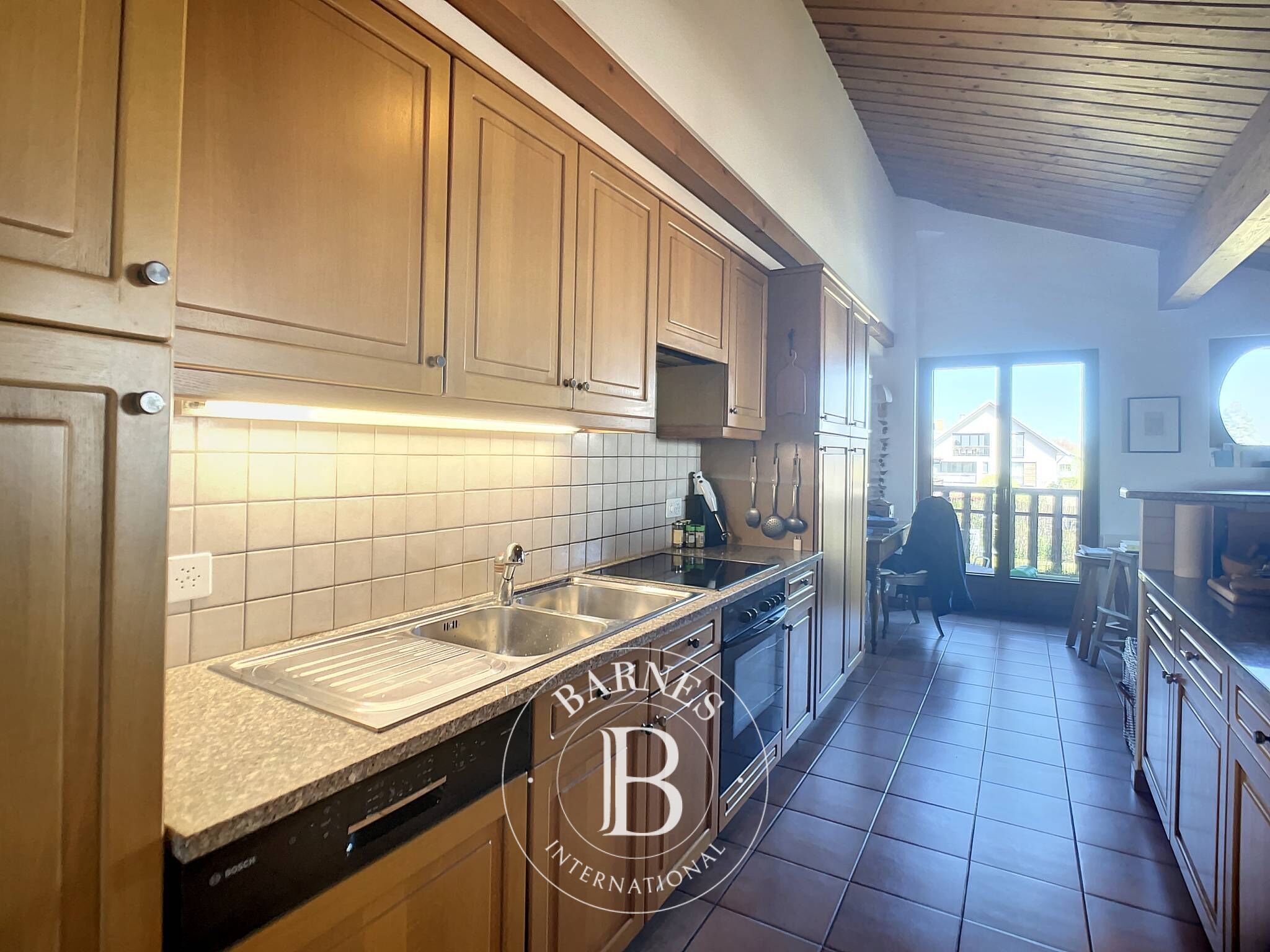 Cati kati Chavannes-des-Bois - picture 7