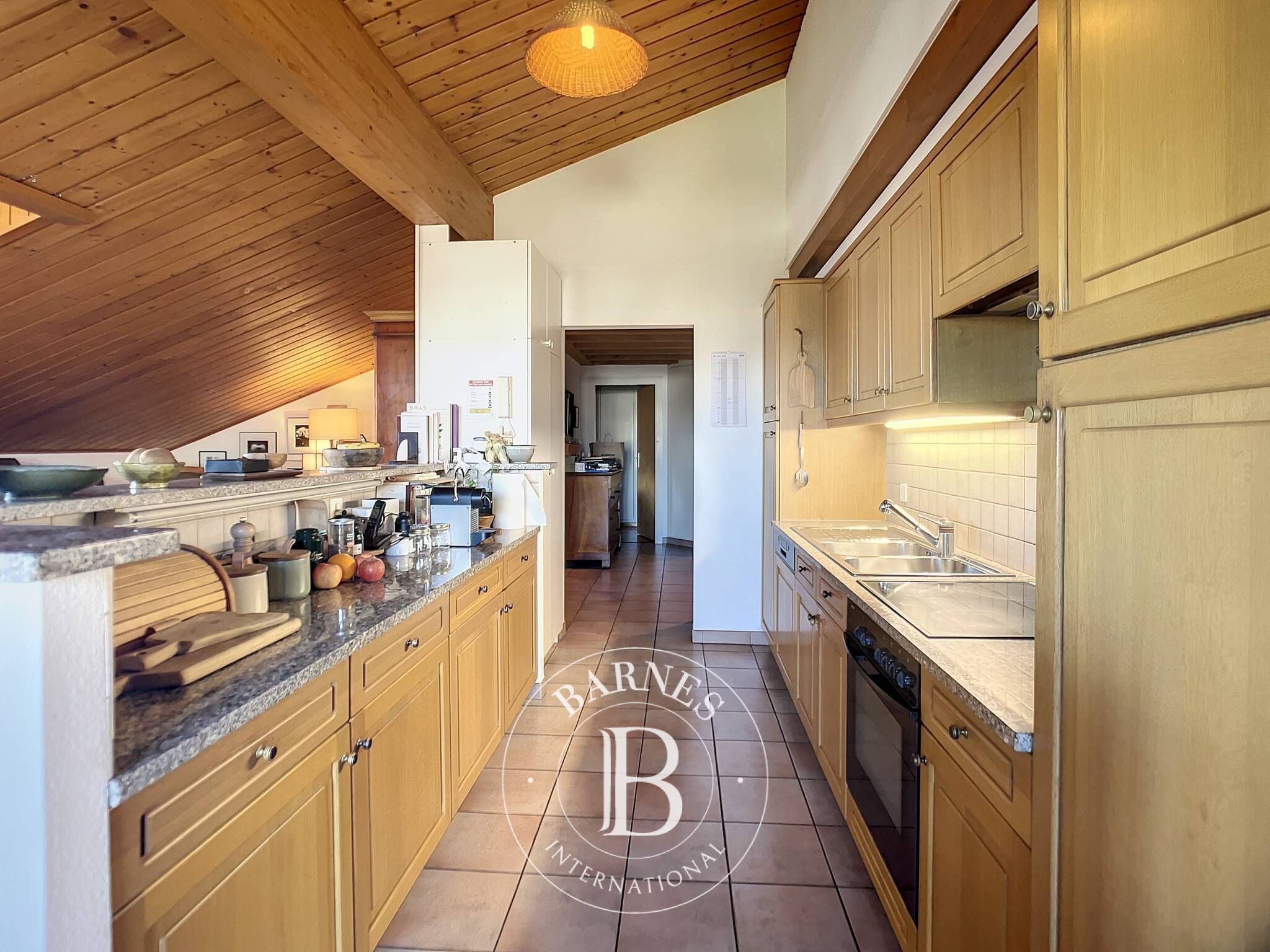 Cati kati Chavannes-des-Bois - picture 9