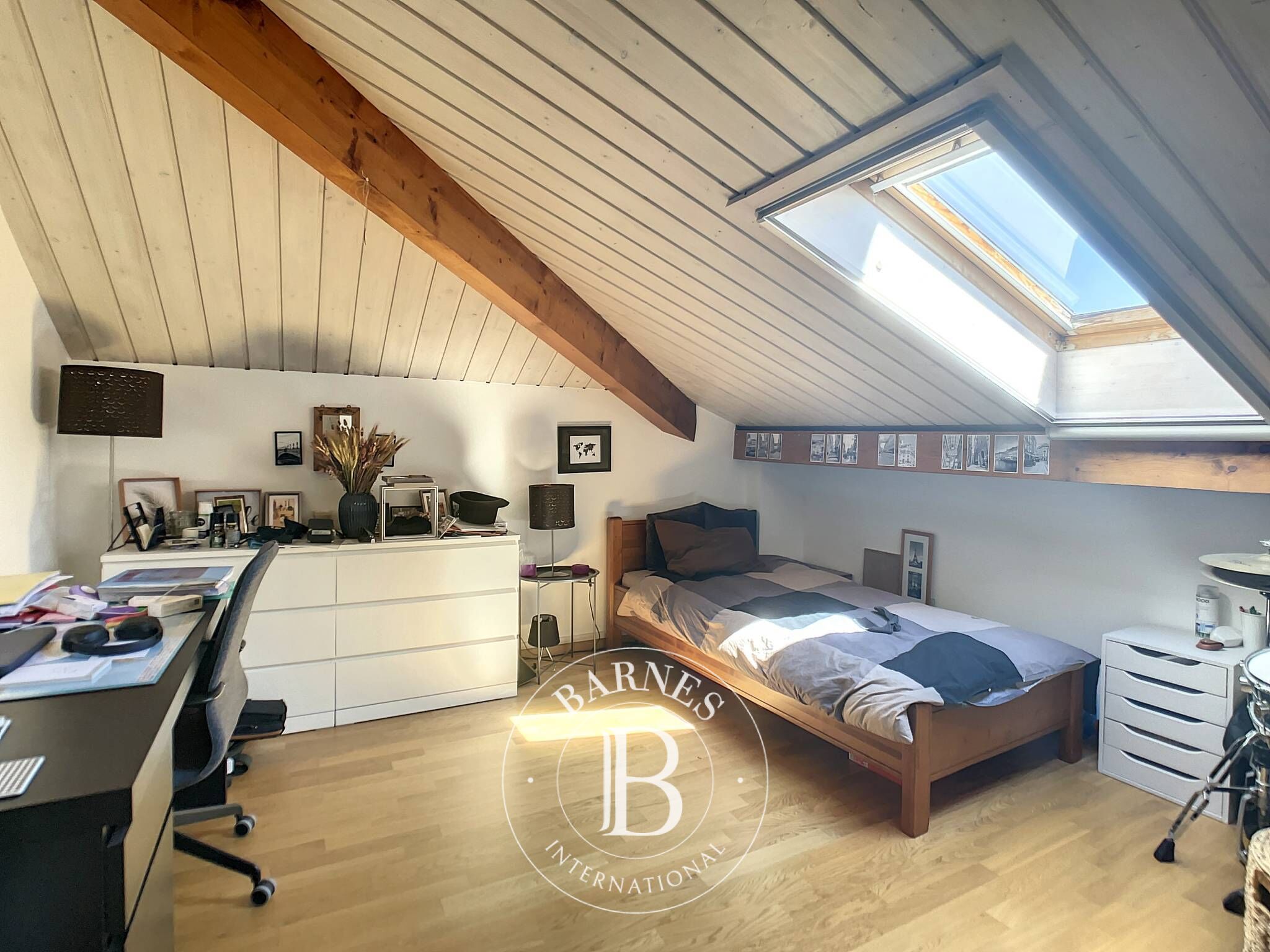 Cati kati Chavannes-des-Bois - picture 10