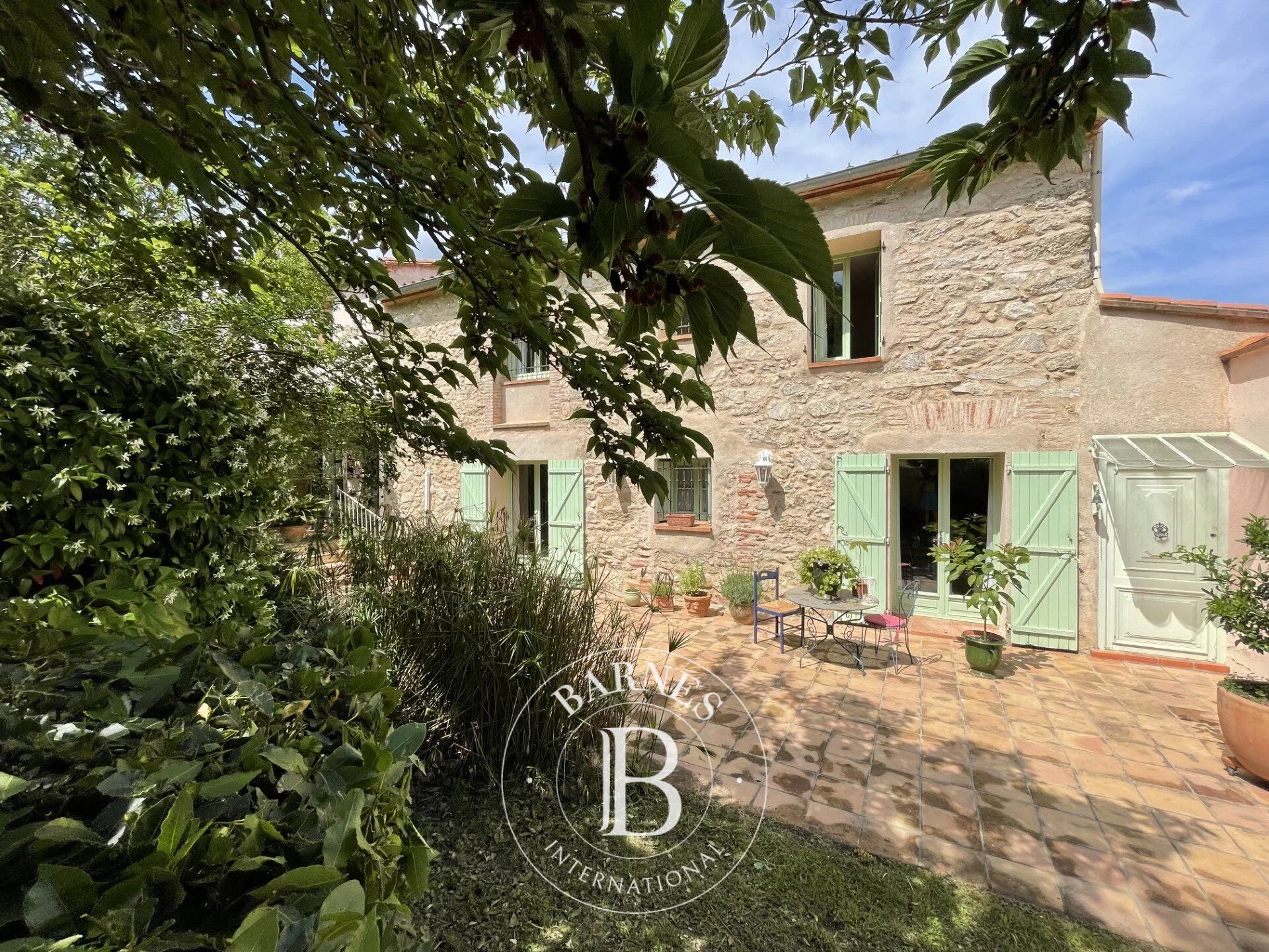 Céret - Mas - vues Canigou - picture 1