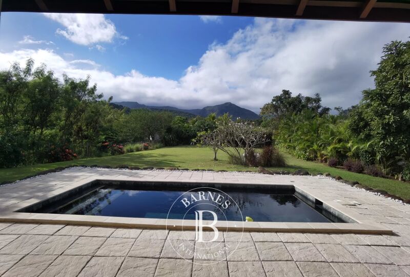 Venta, Villa Rivière Noire - picture 3