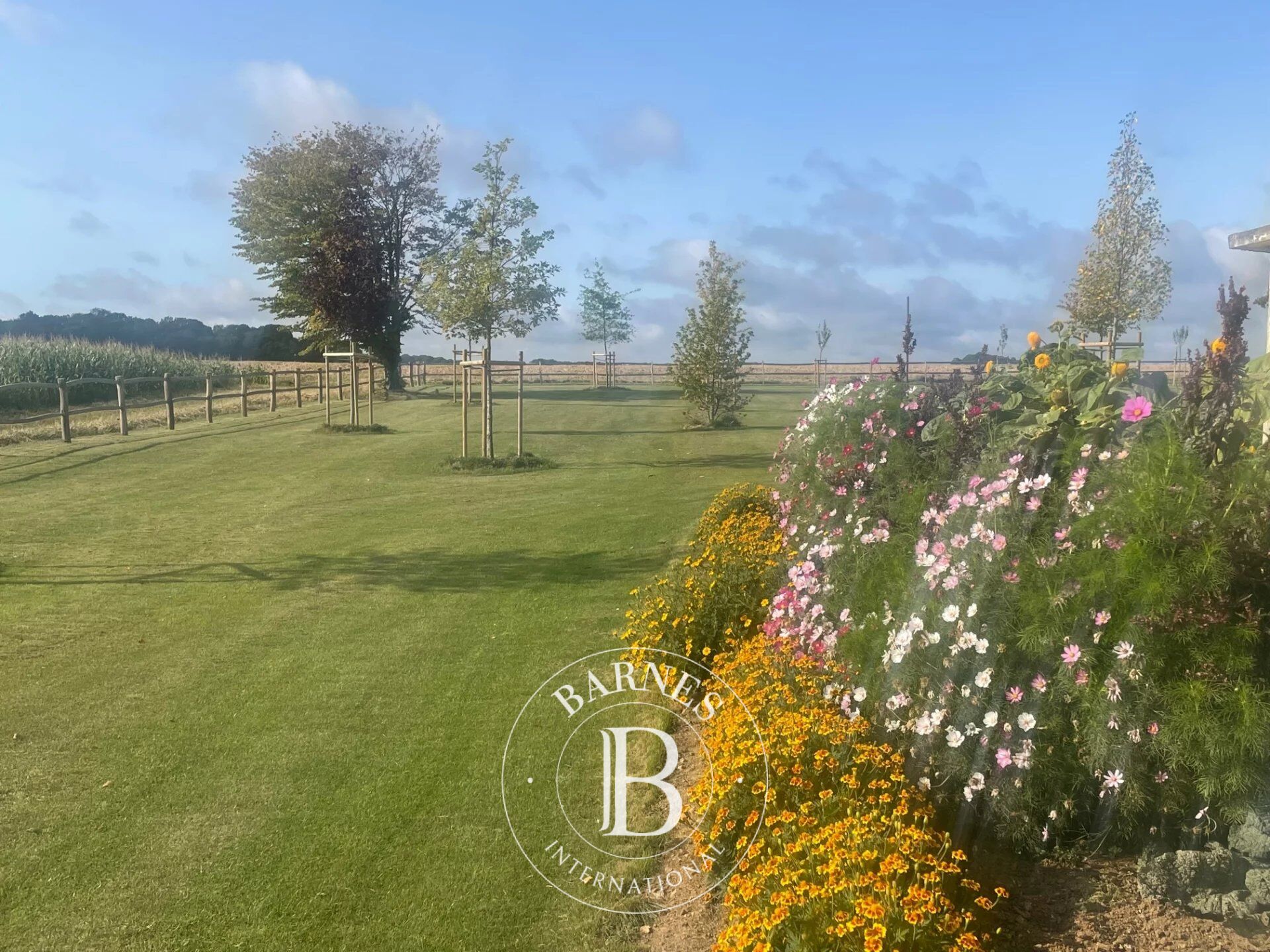 Terreno Dampierre-en-Yvelines - picture 1