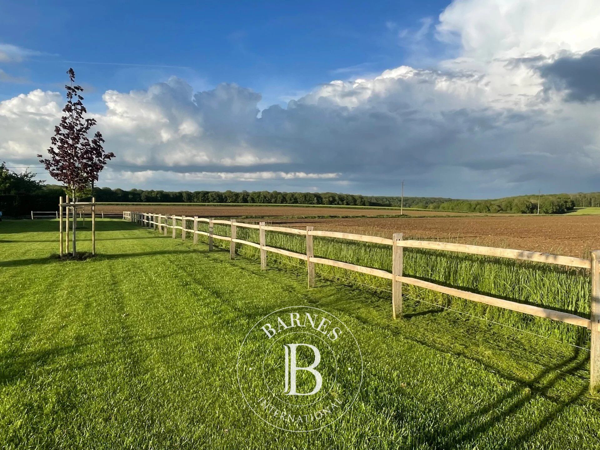 Terreno Dampierre-en-Yvelines - picture 2
