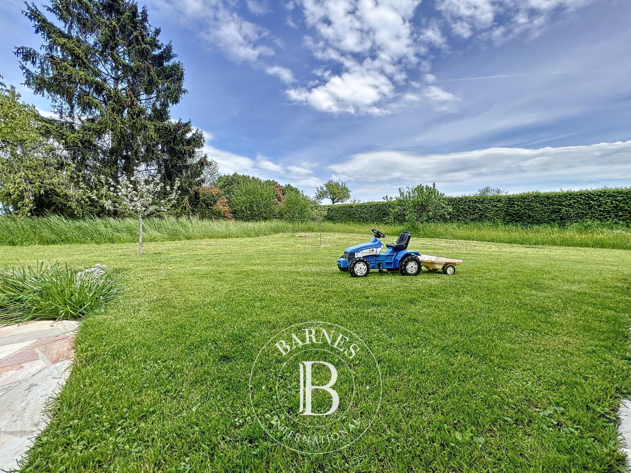 Villa Founex - picture 7