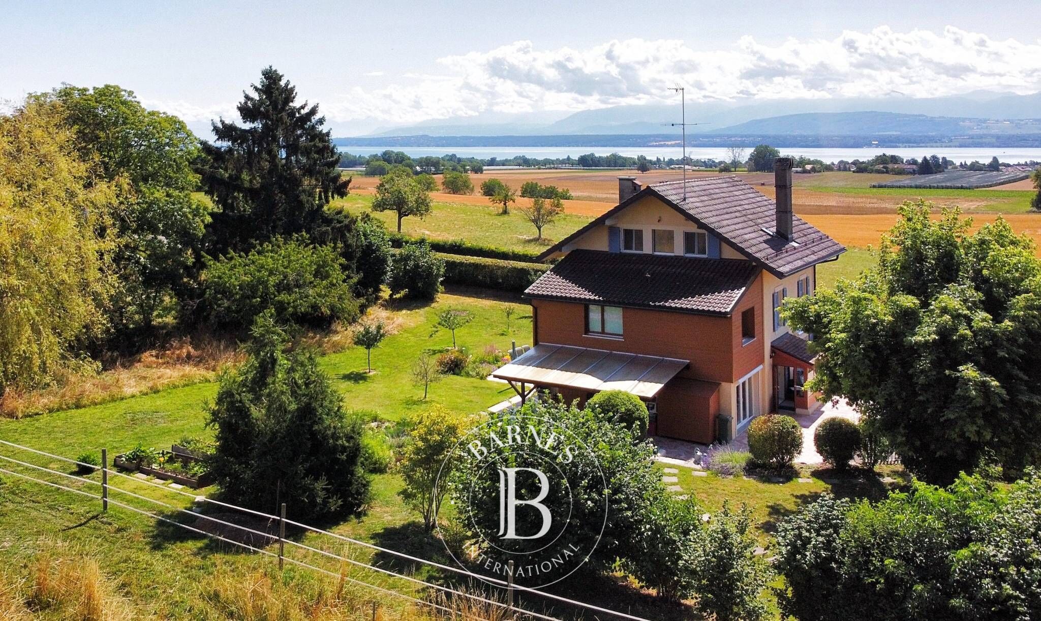 Villa Founex - picture 4