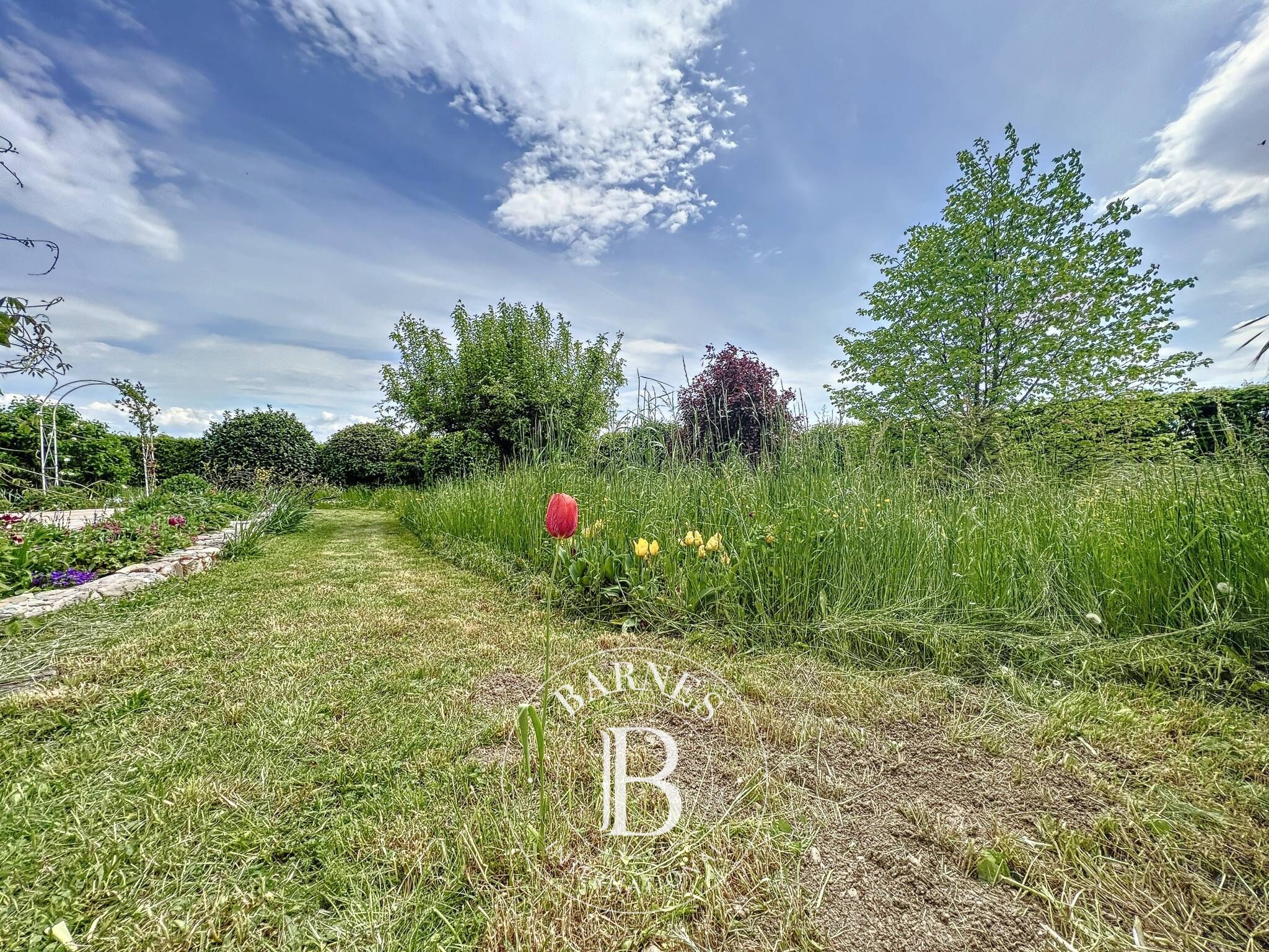 Villa Founex - picture 23