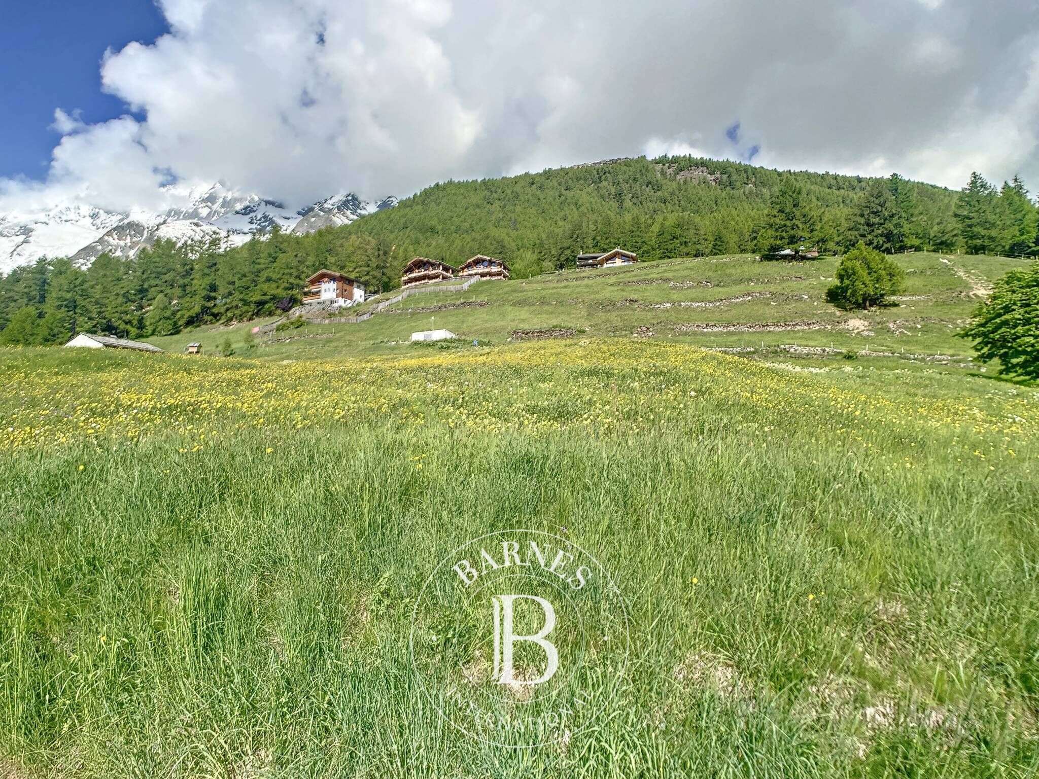 Terrain à bâtir parfaitement situé - picture 3