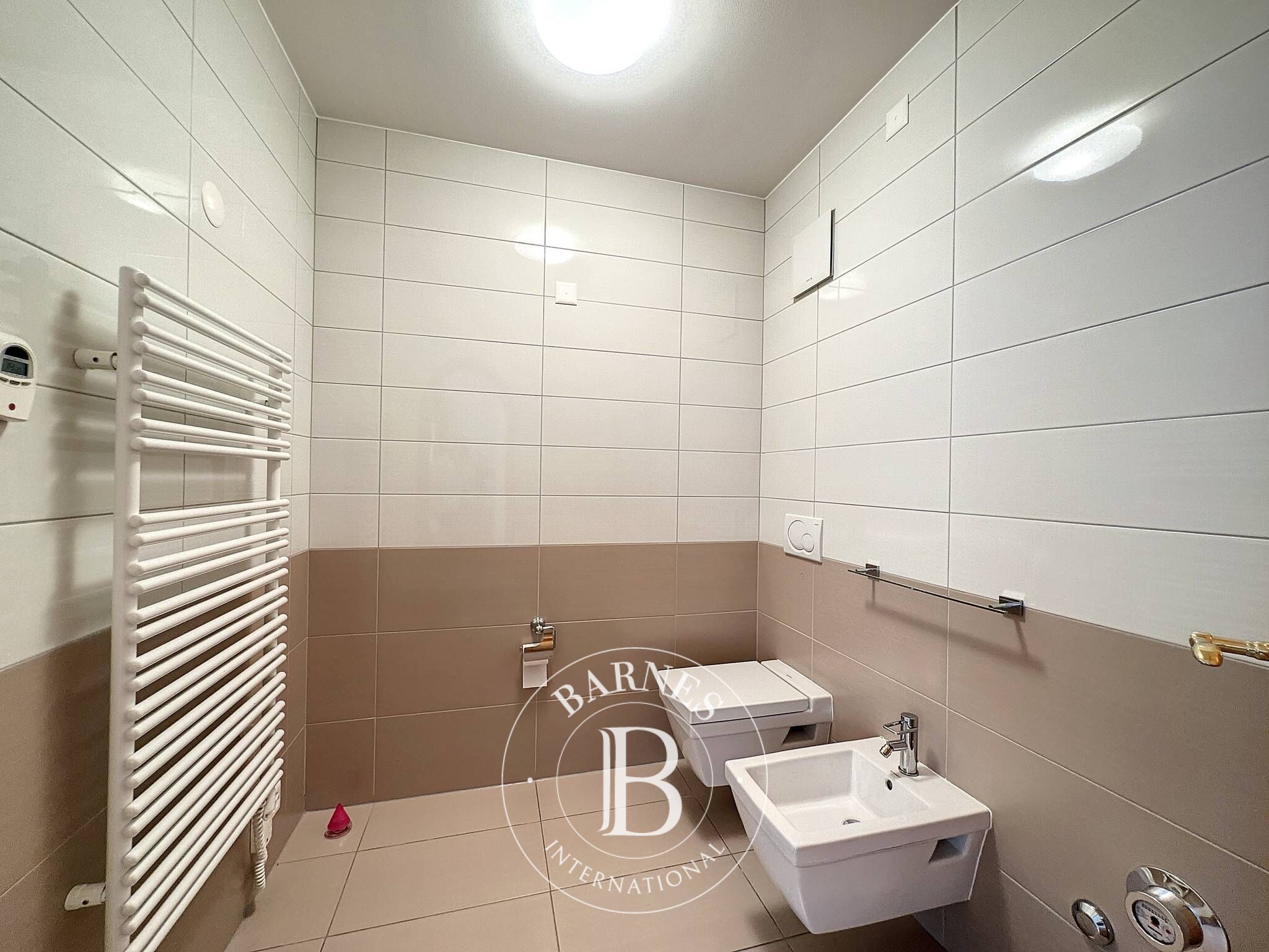 Penthouse Sion - picture 18