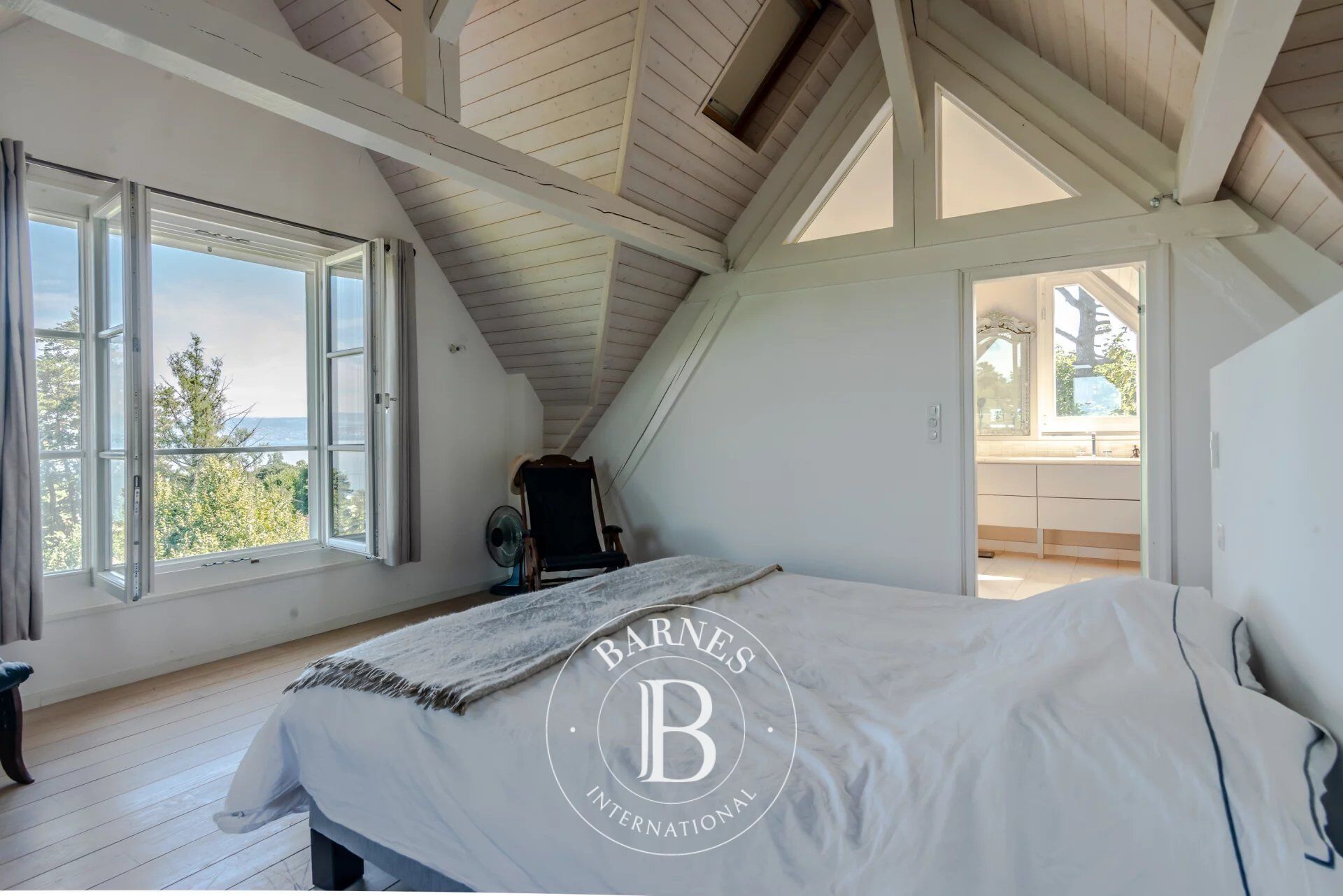 Ev Évian-les-Bains - picture 17