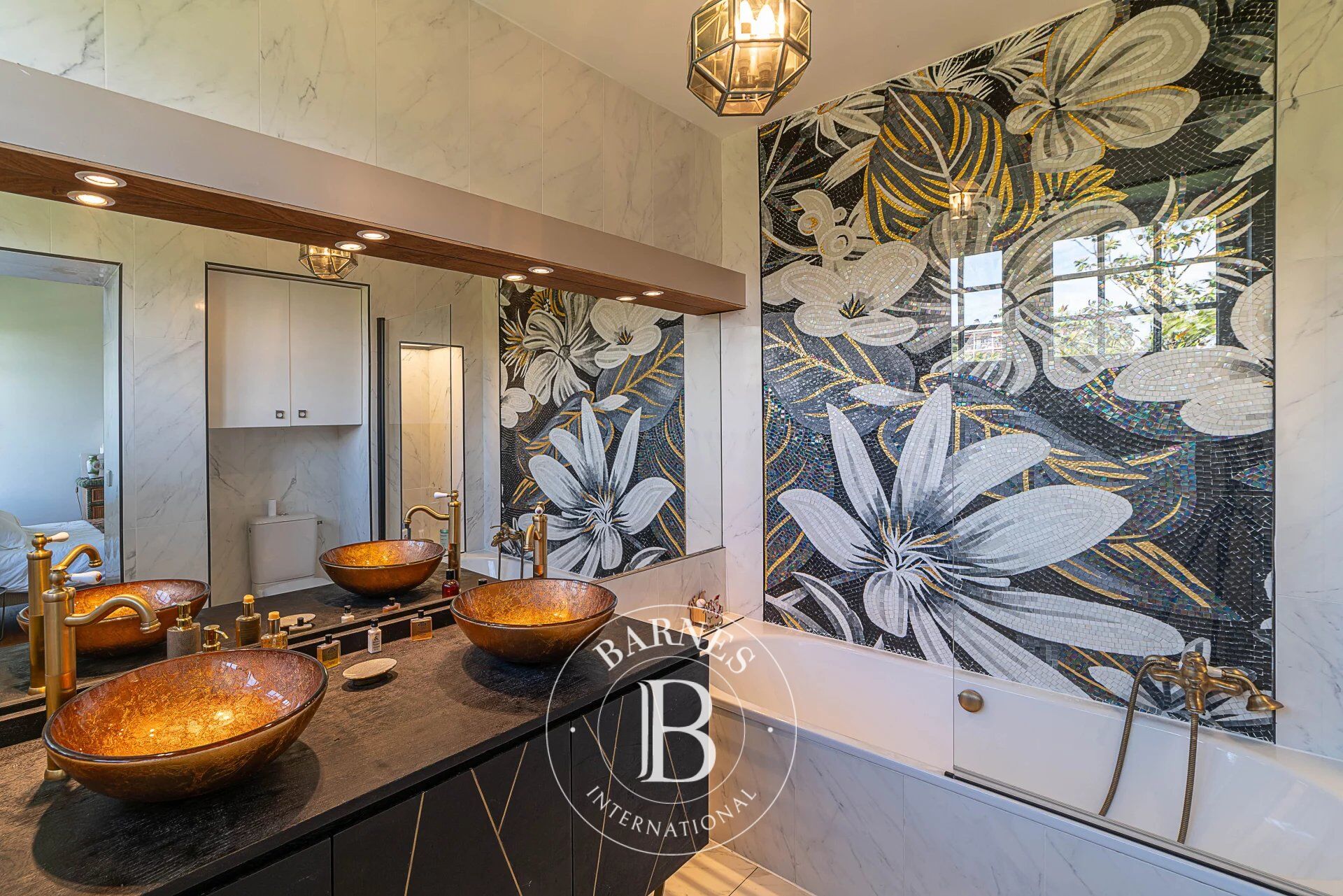 Ev Thonon-les-Bains - picture 11