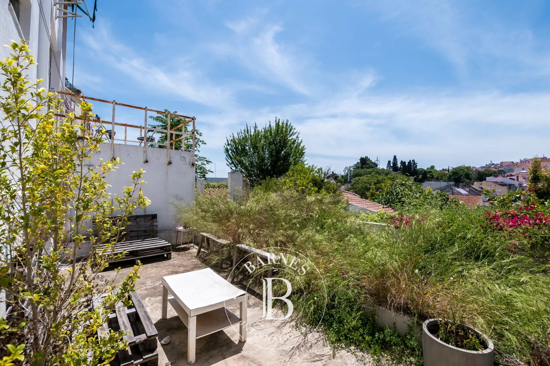 Bina Misericórdia - picture 6