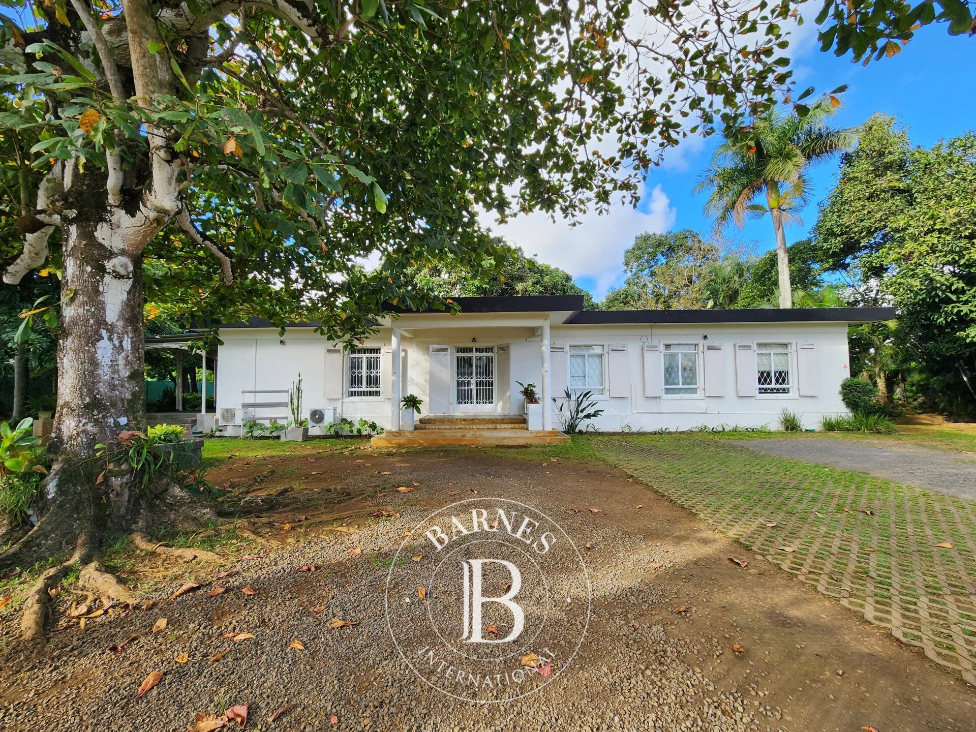 Ufficio Moka - picture 3